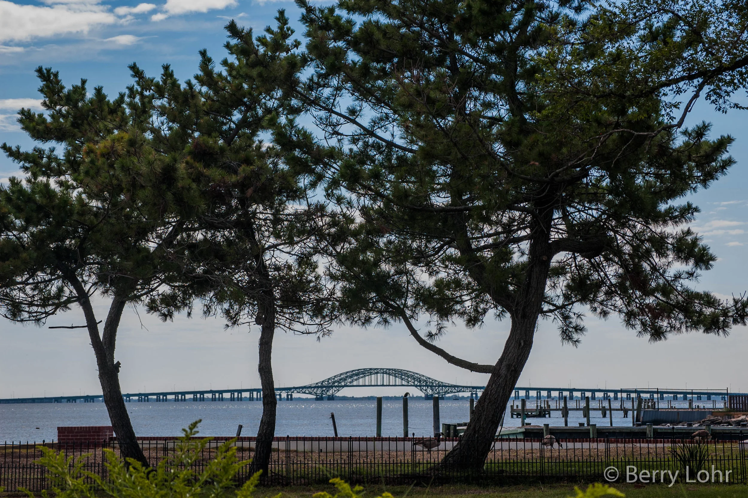 Bridge Landscape 7