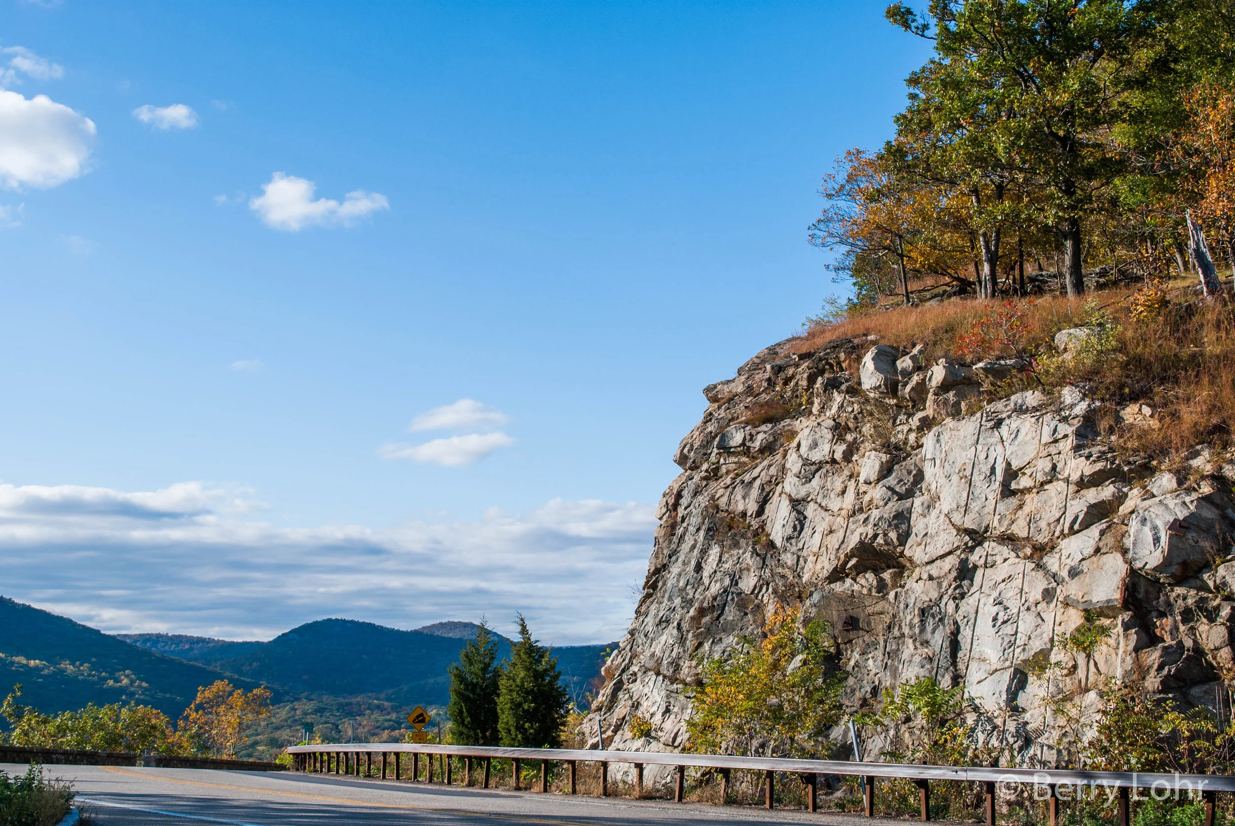 Landscape 6