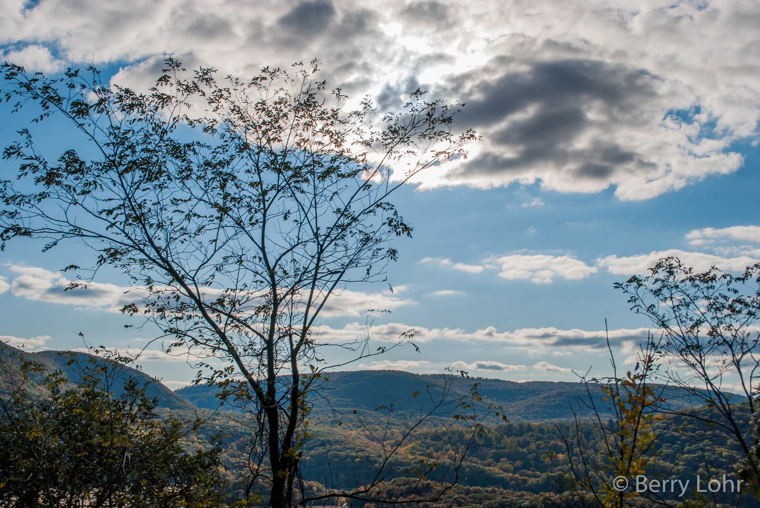 Landscape 8