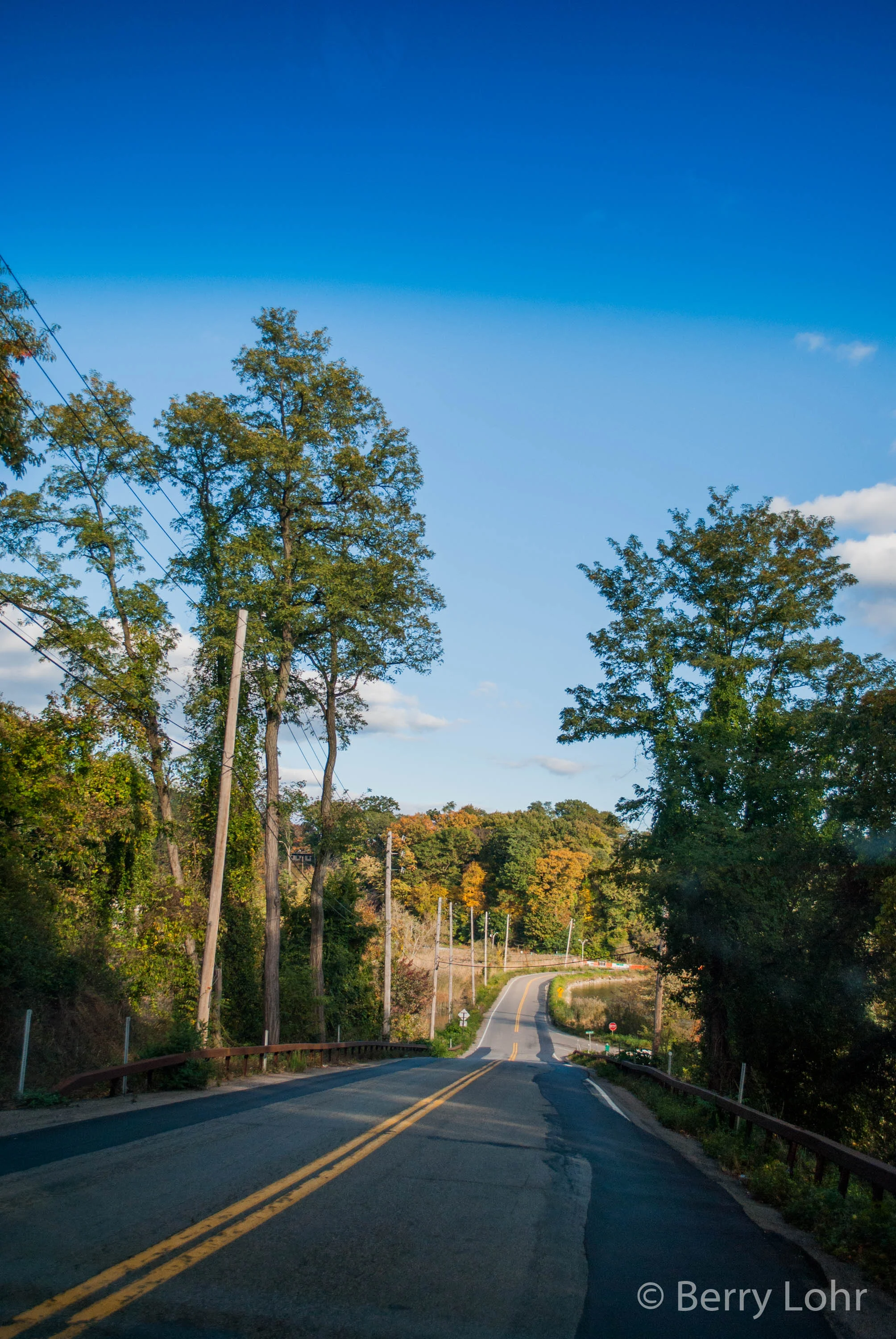 Landscape 9