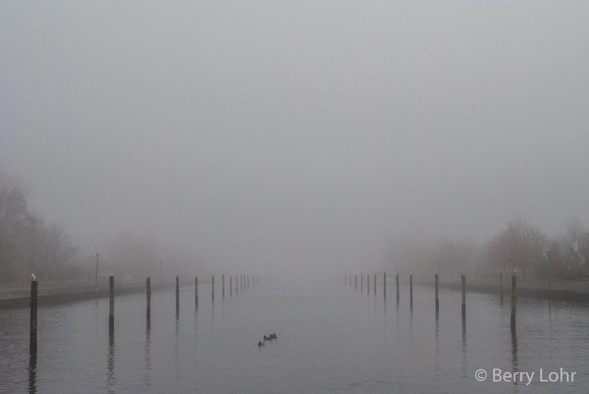 Foggy Day 1