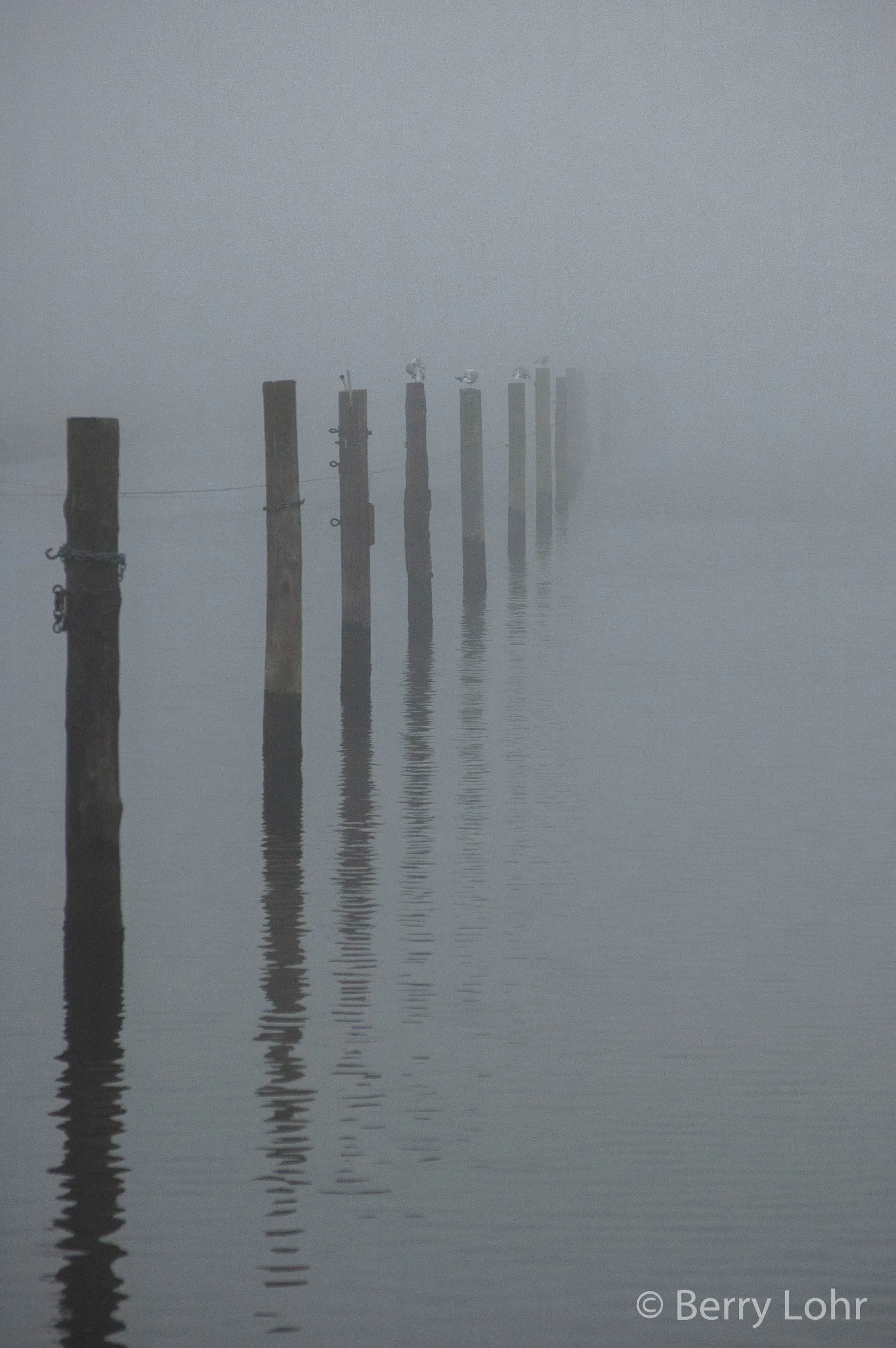 Foggy Day 3