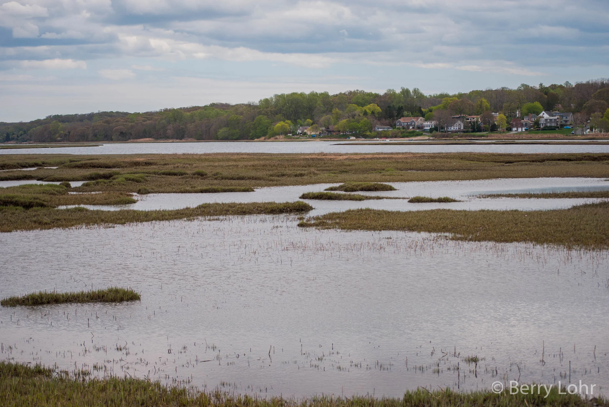 Waterscape 15