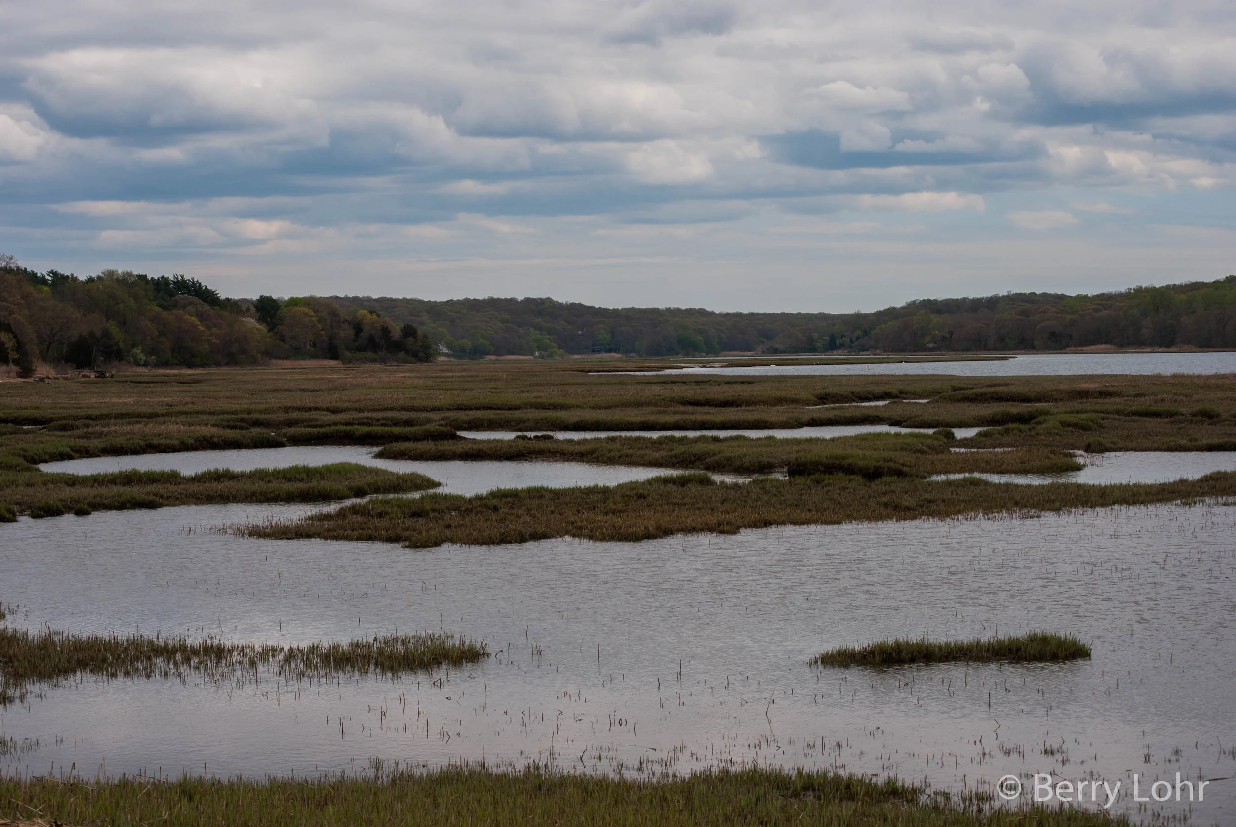 Waterscape 16