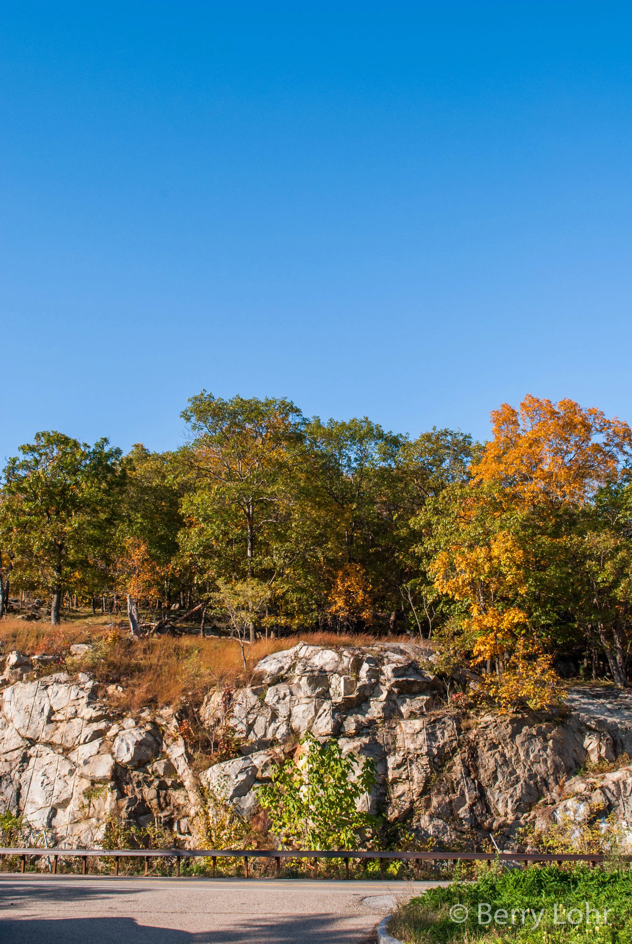 Landscape 5