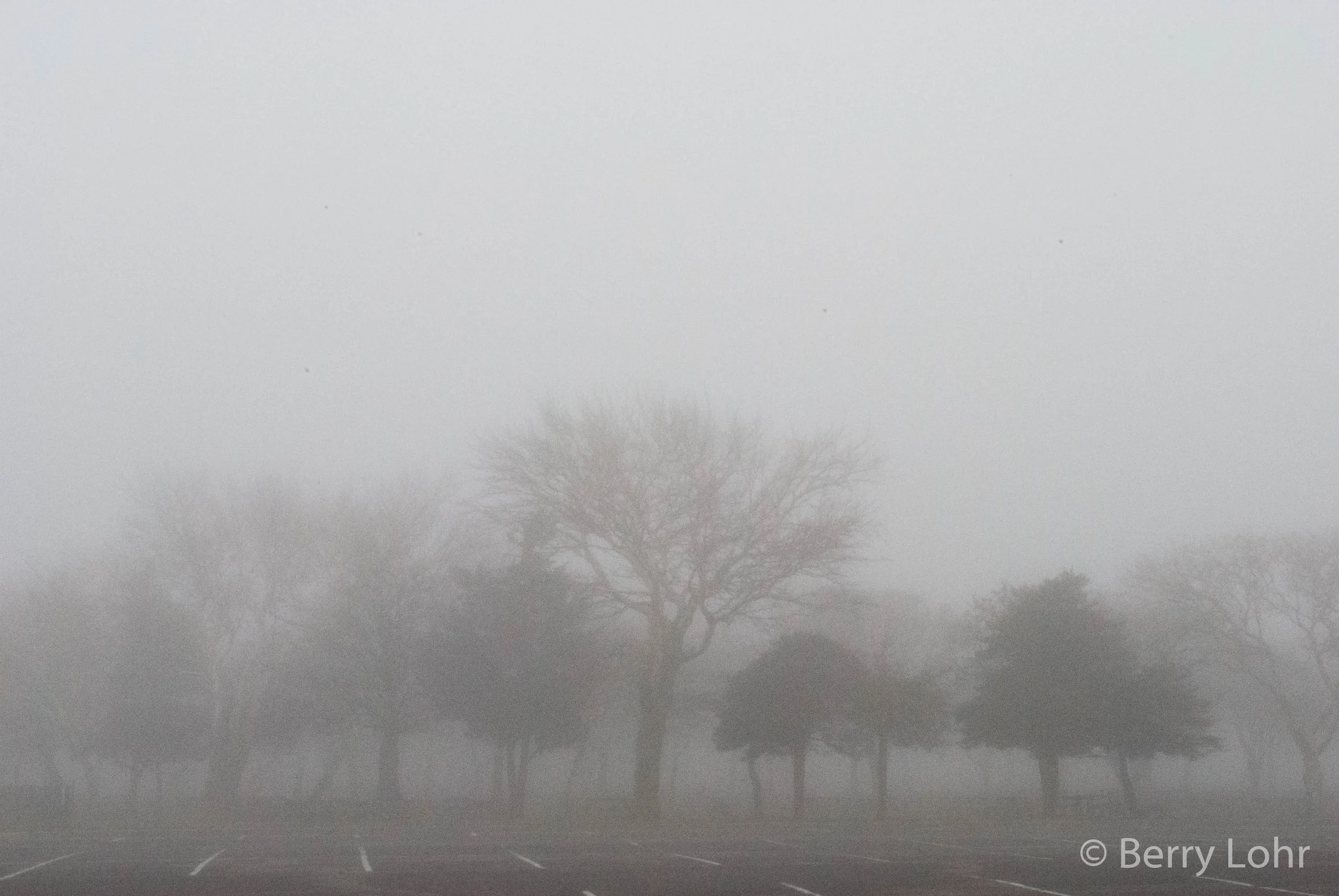 Foggy Day 10