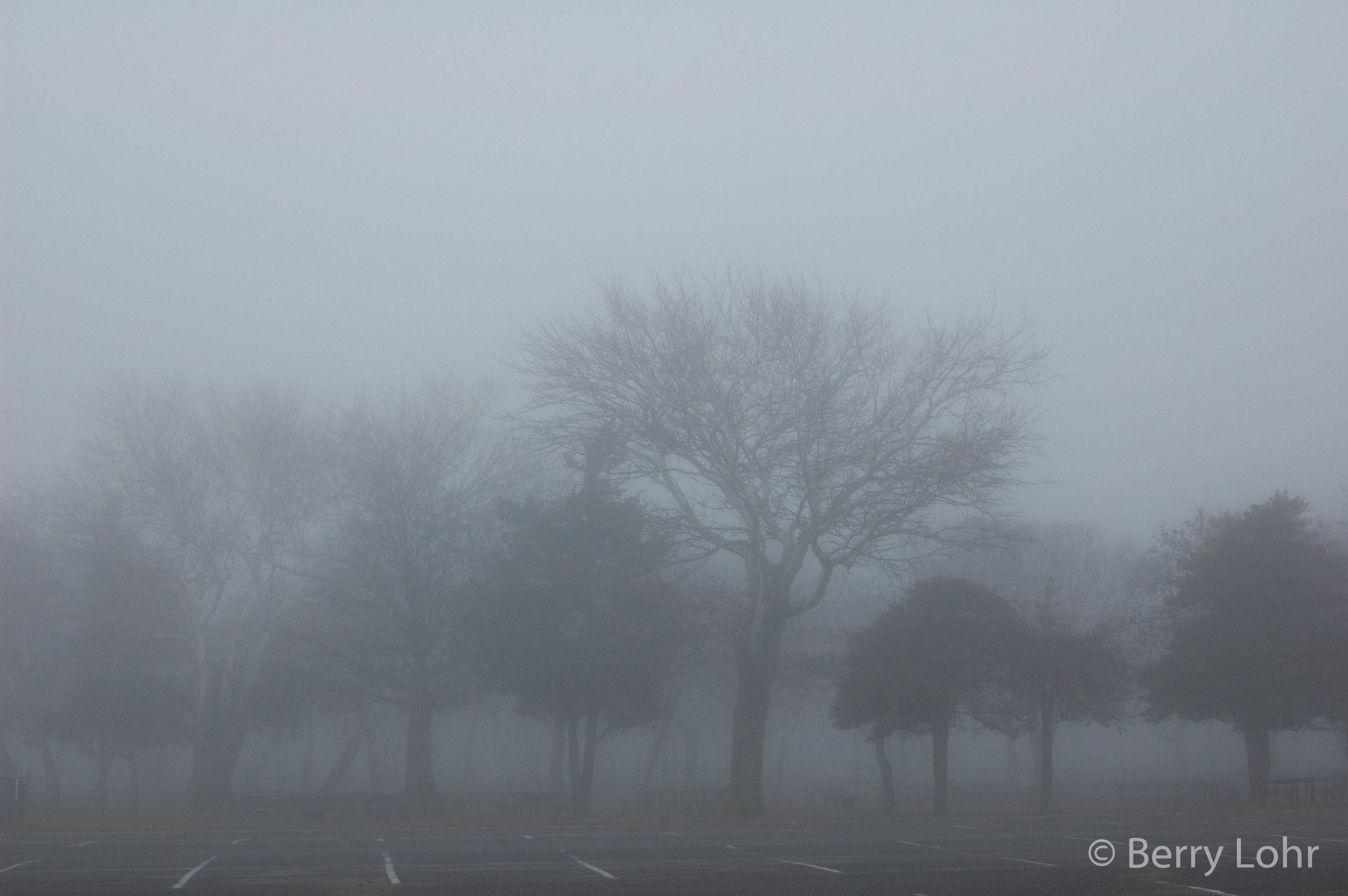 Foggy Day 12