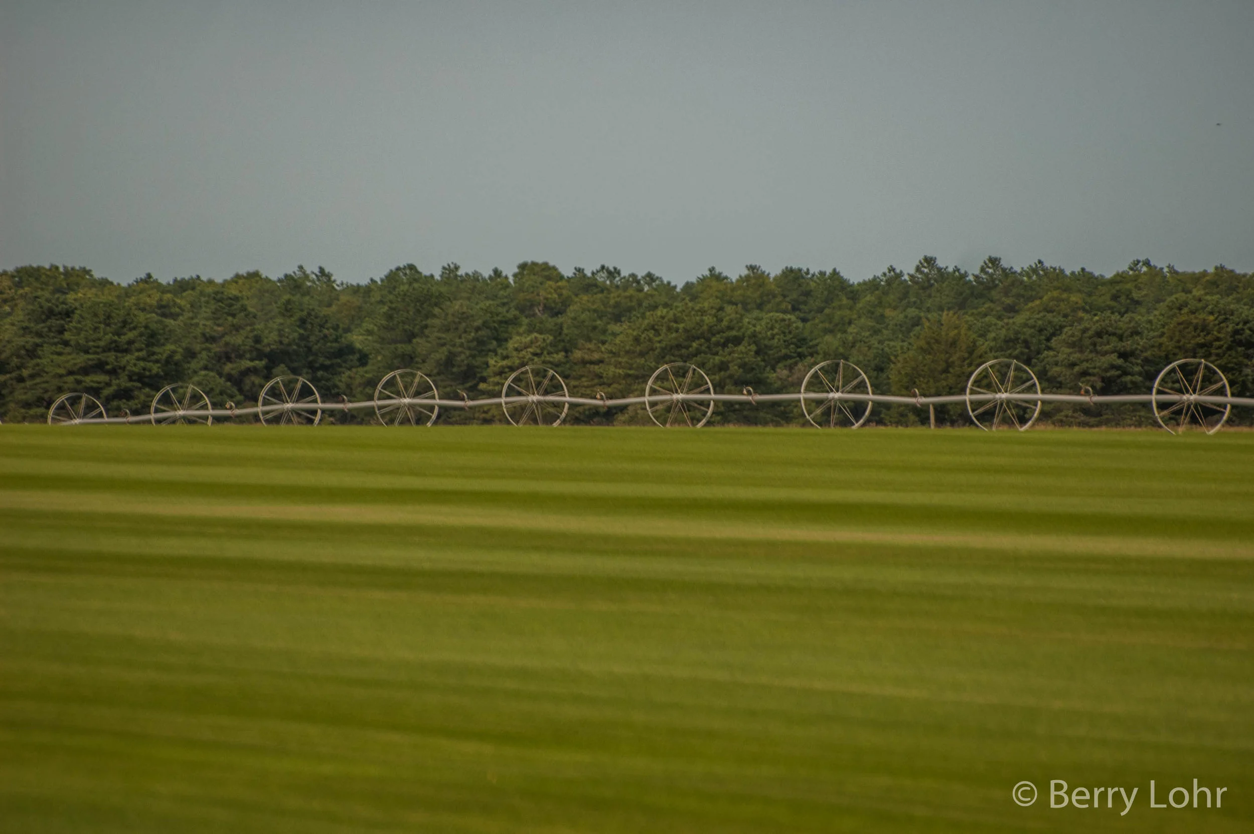 Farmland 2