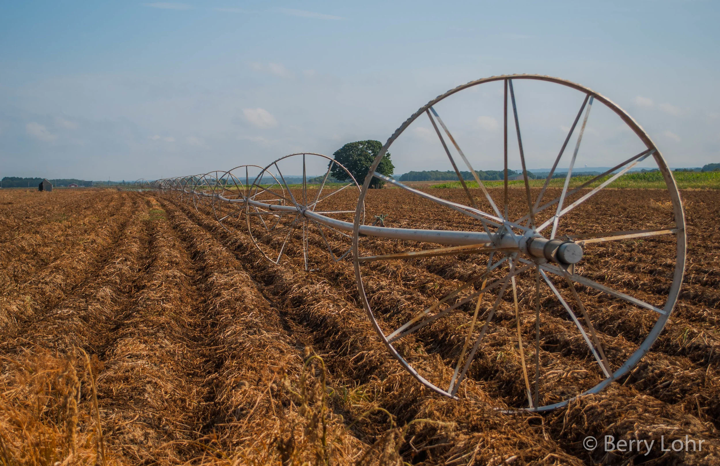 Farmland 5