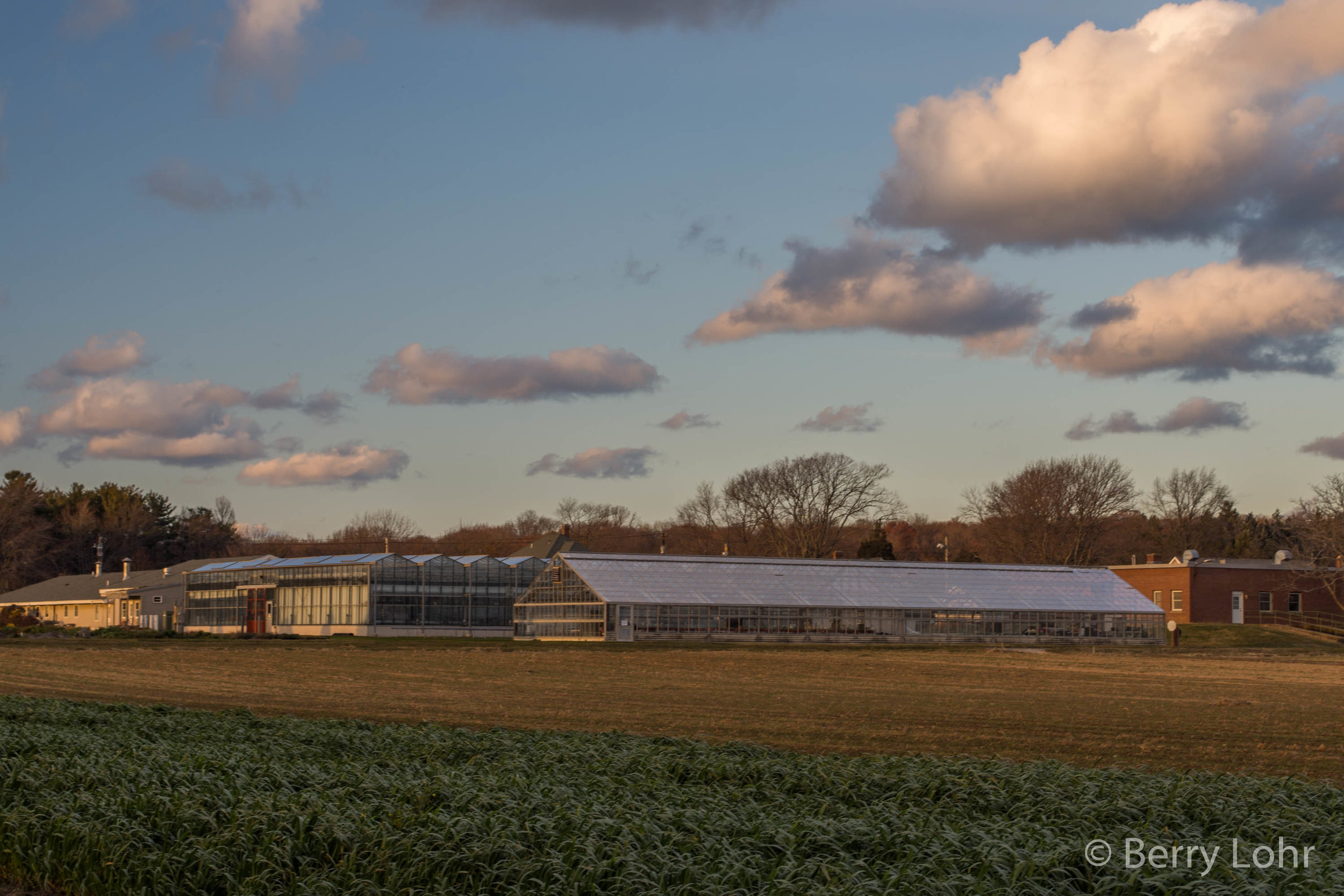 Farmland 10
