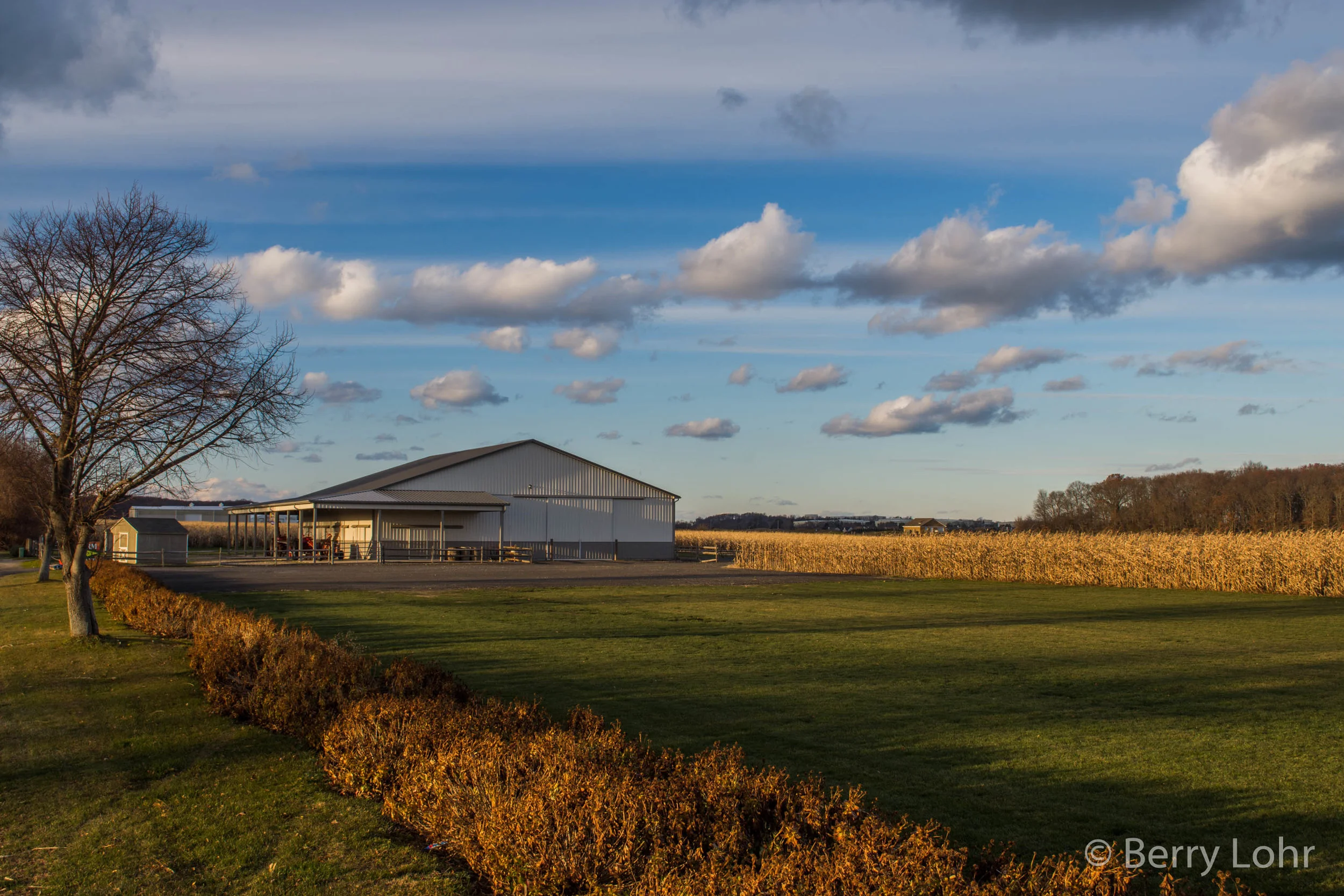 Farmland 9
