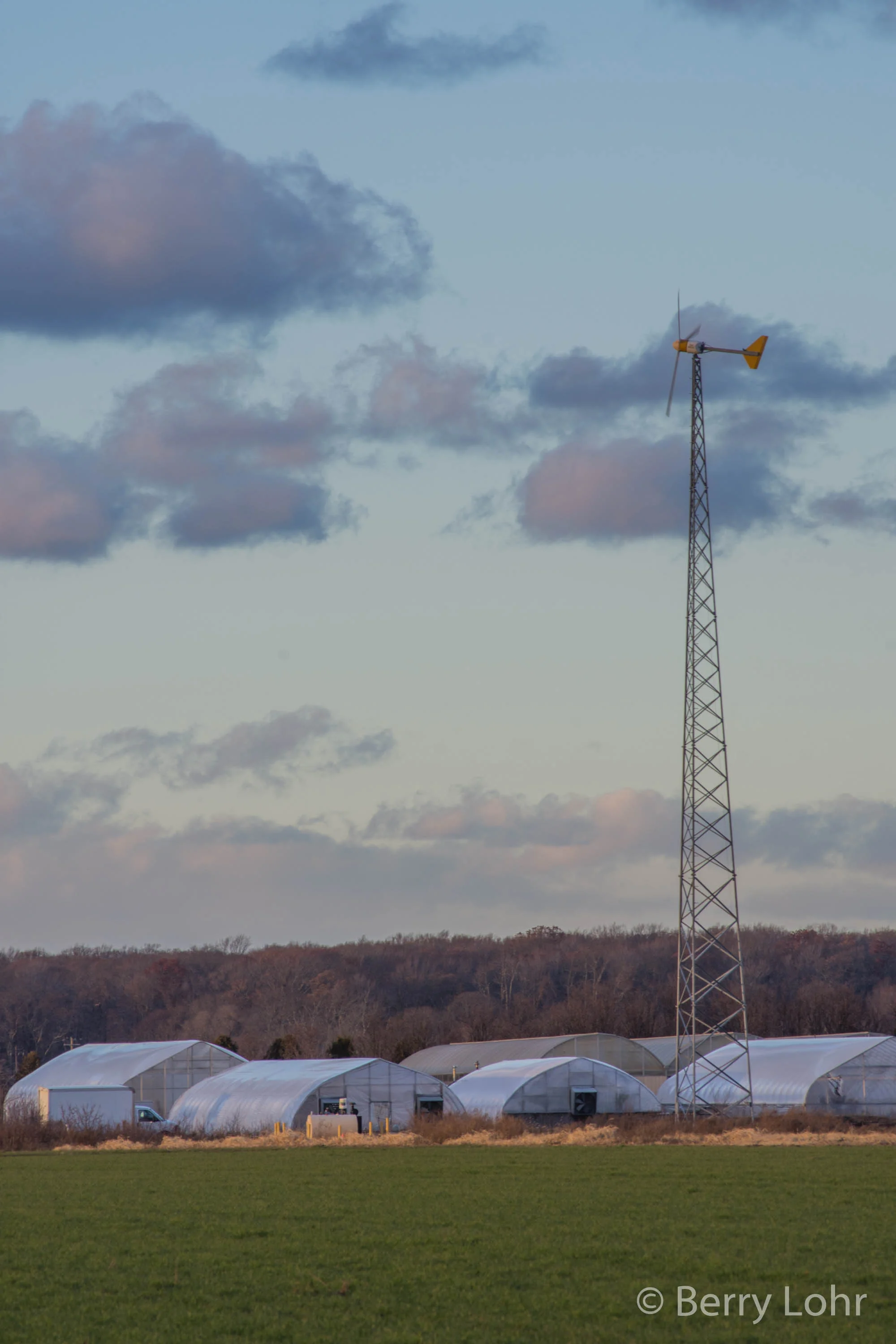 Farmland 13