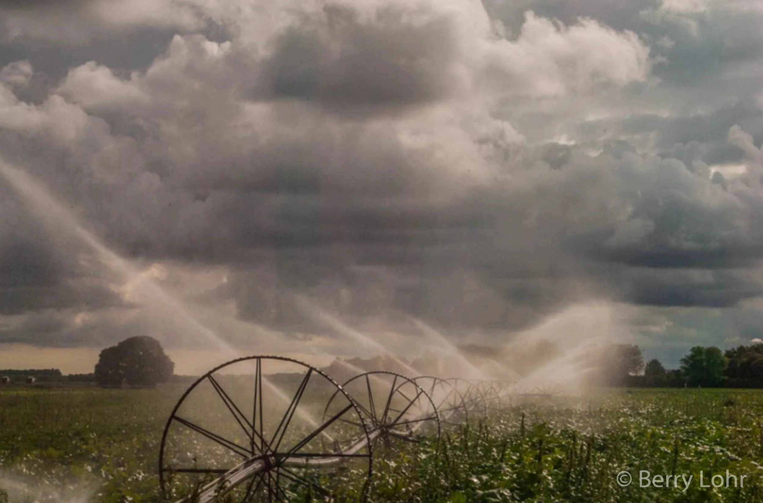 Farmland 15