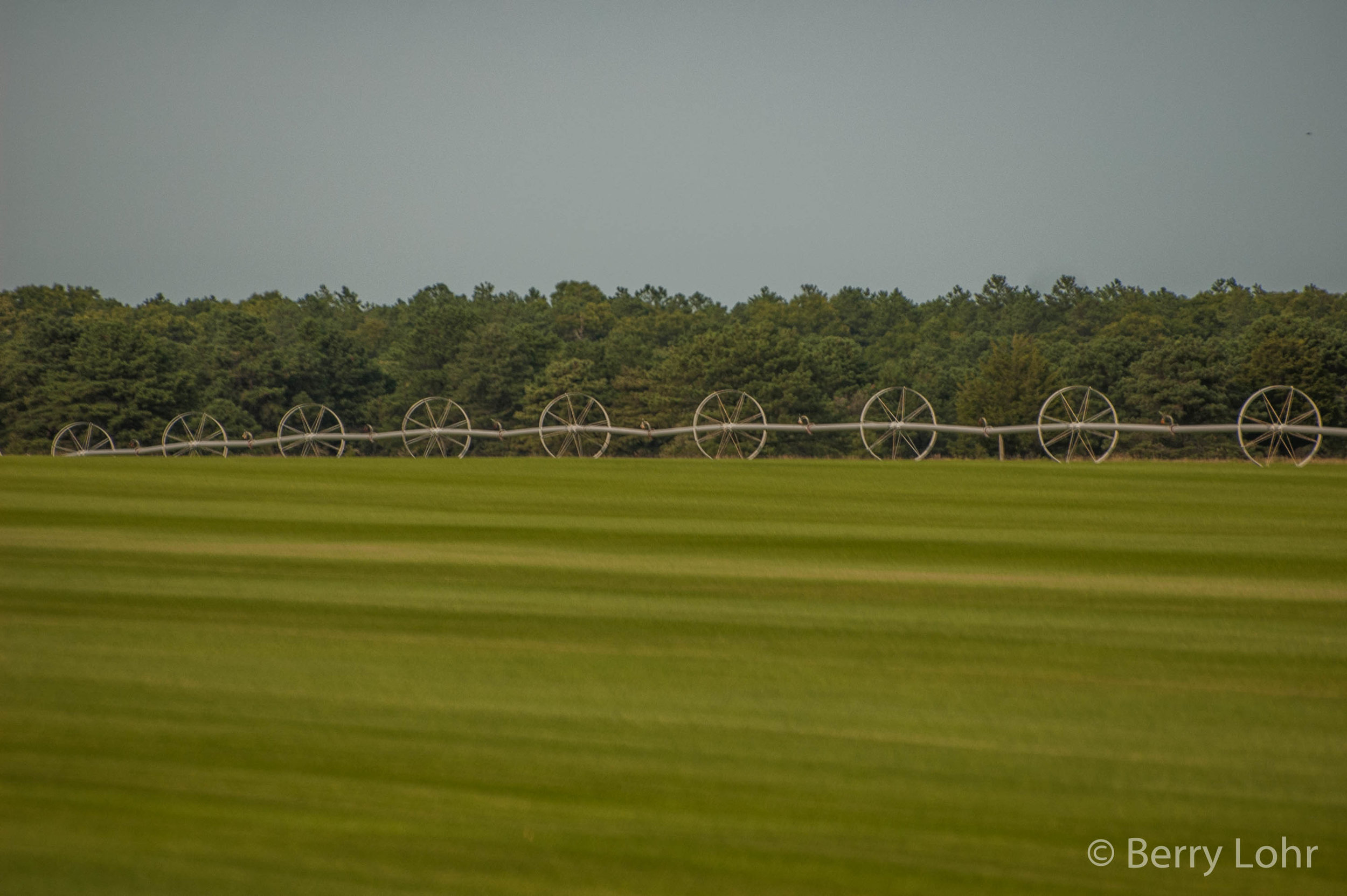 Farmland 2