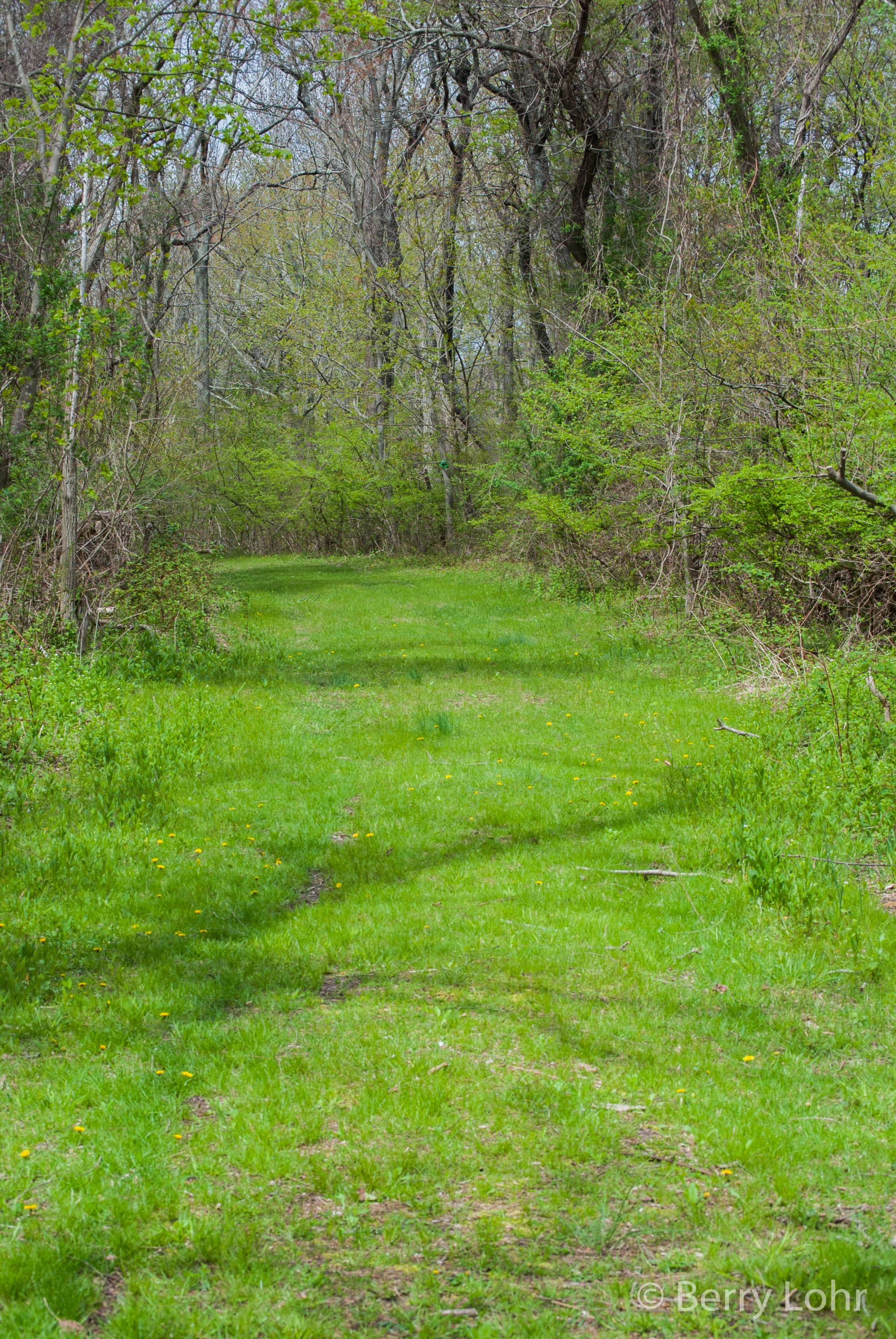Connetquote River State Park 4