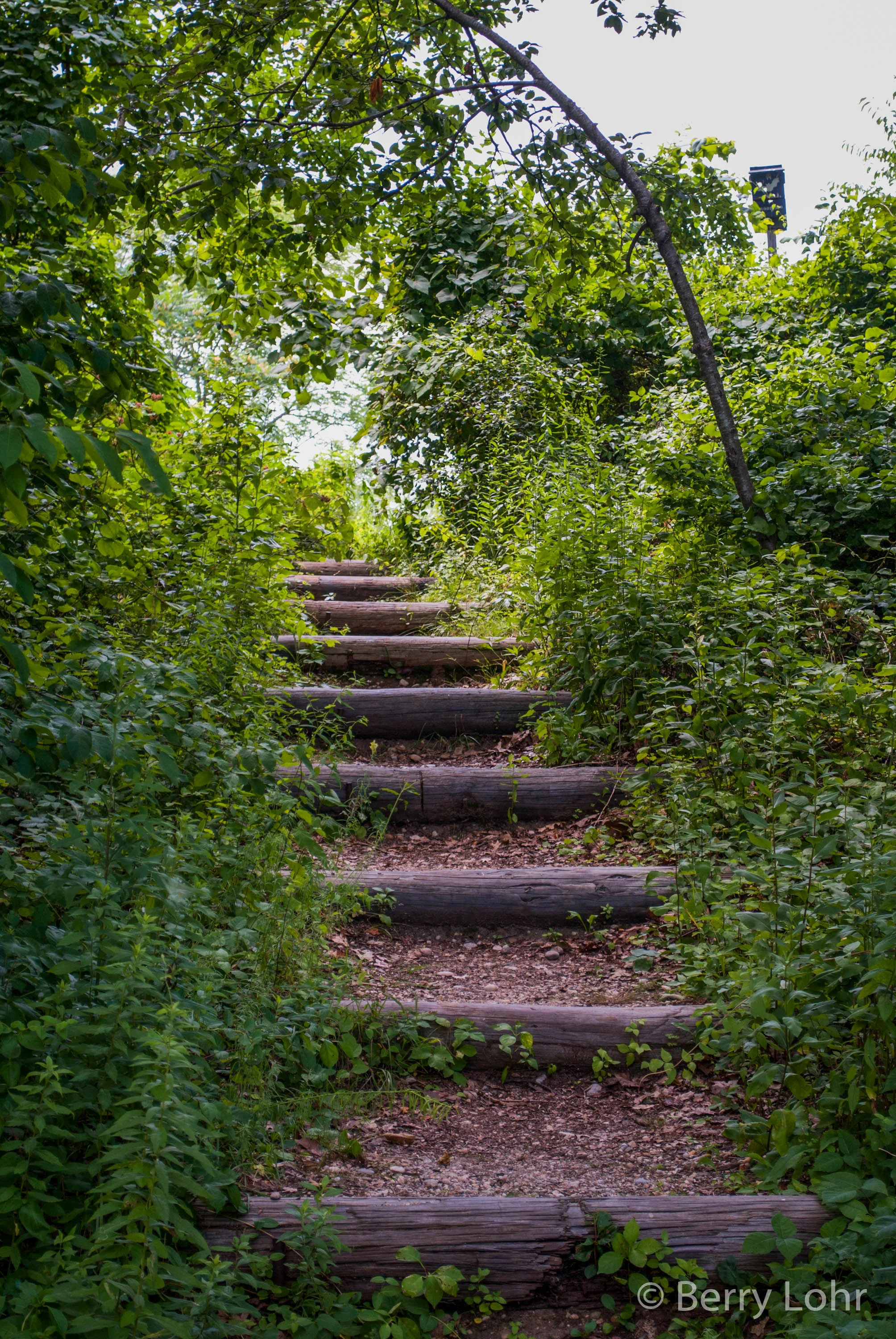 Sweetbriar Nature Center 3