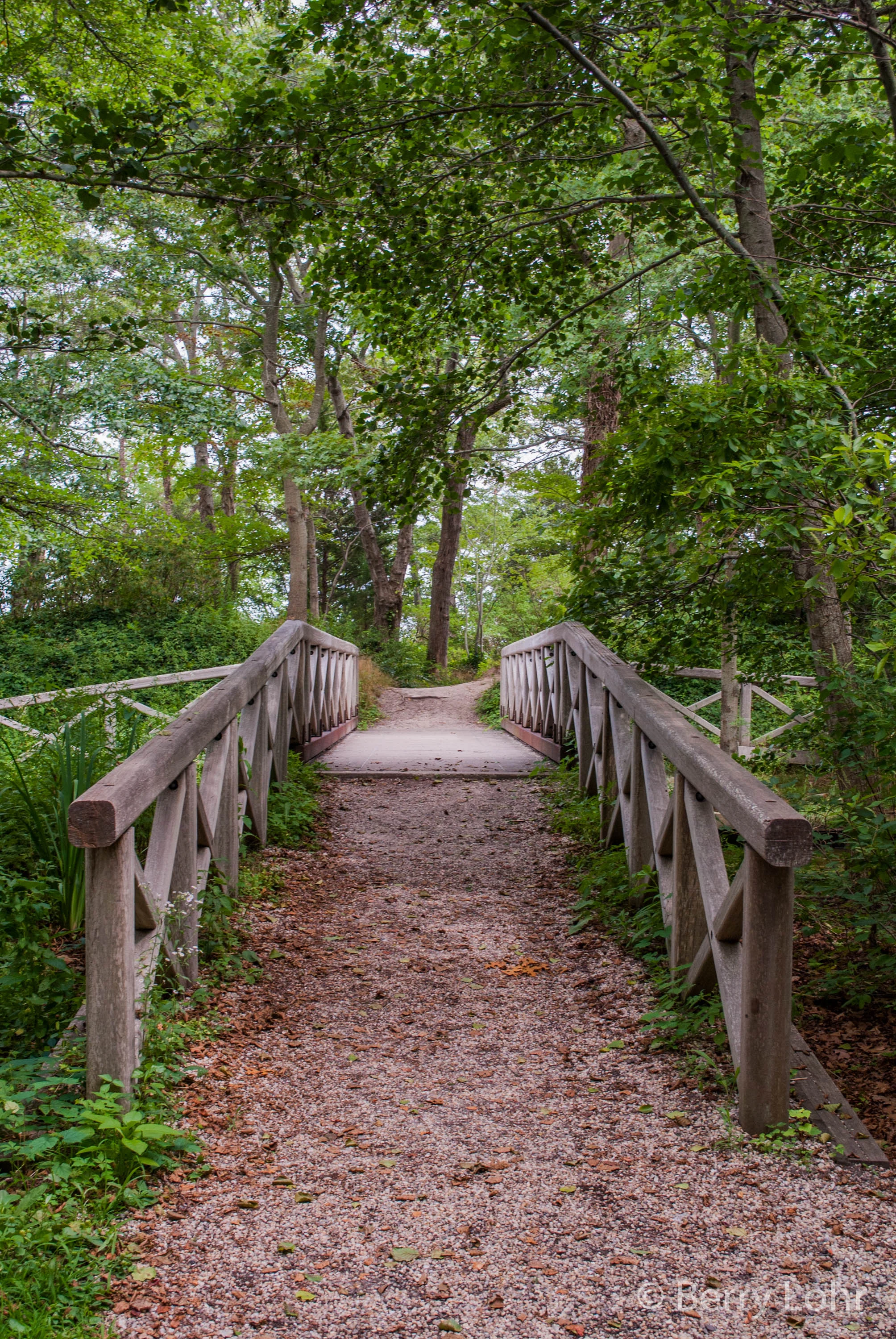 Bayard Cutting Arboretum 7