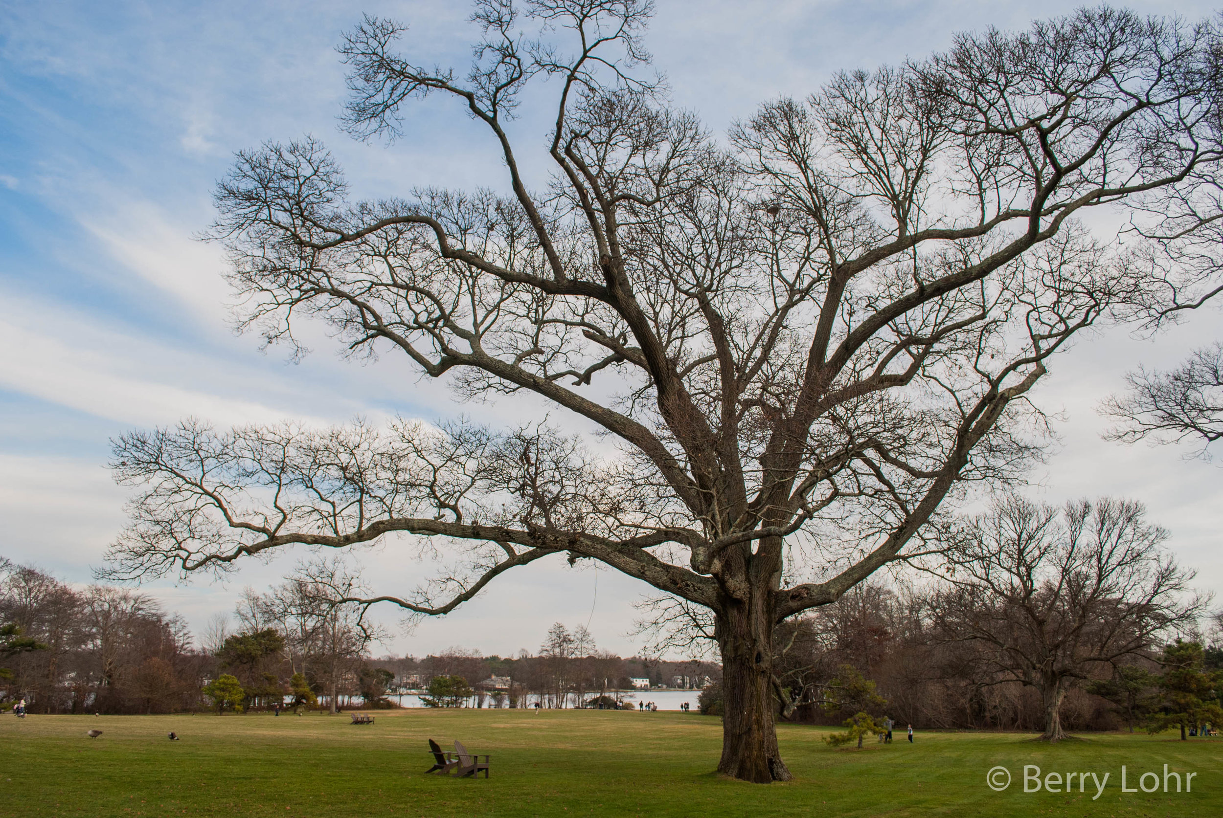 Bayard Cutting Arboretum 9