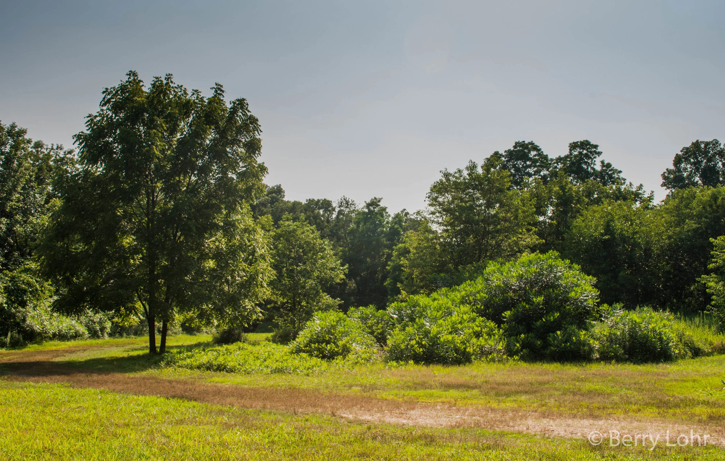 Sweetbriar Nature Center 7