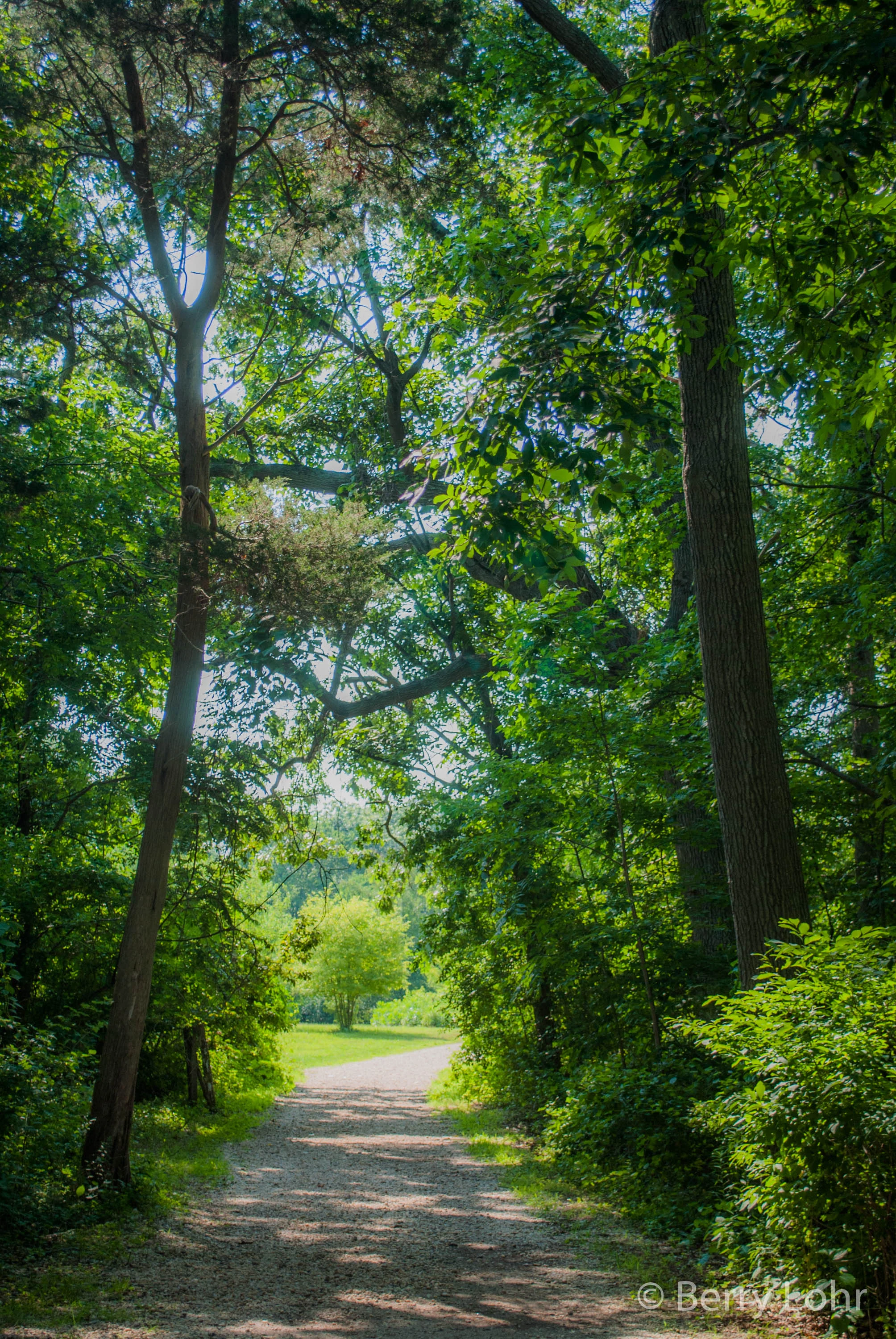 Sweetbriar Nature Center 6