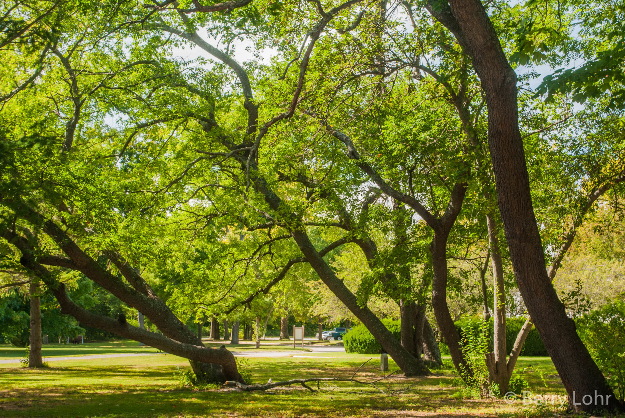 Belmont Lake State Park 25