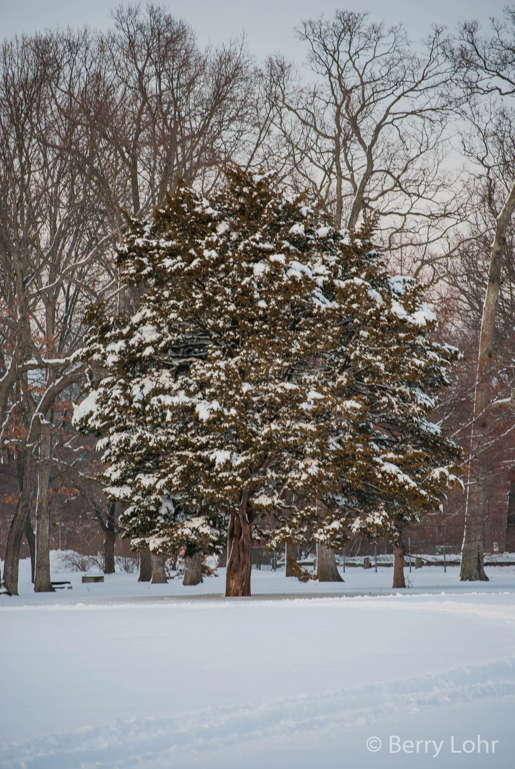 Belmont Lake State Park 14