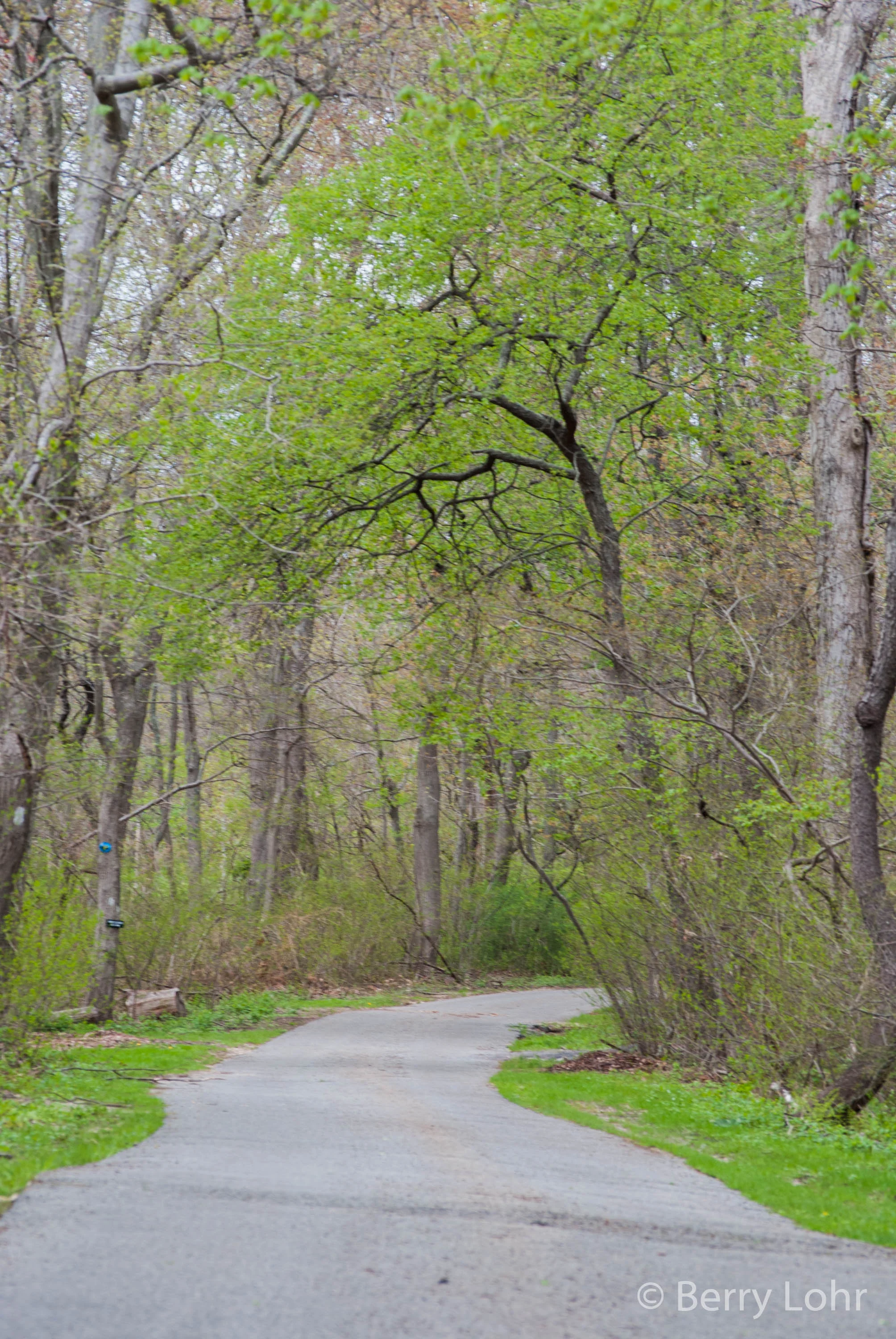 Connetquote River State Park 3