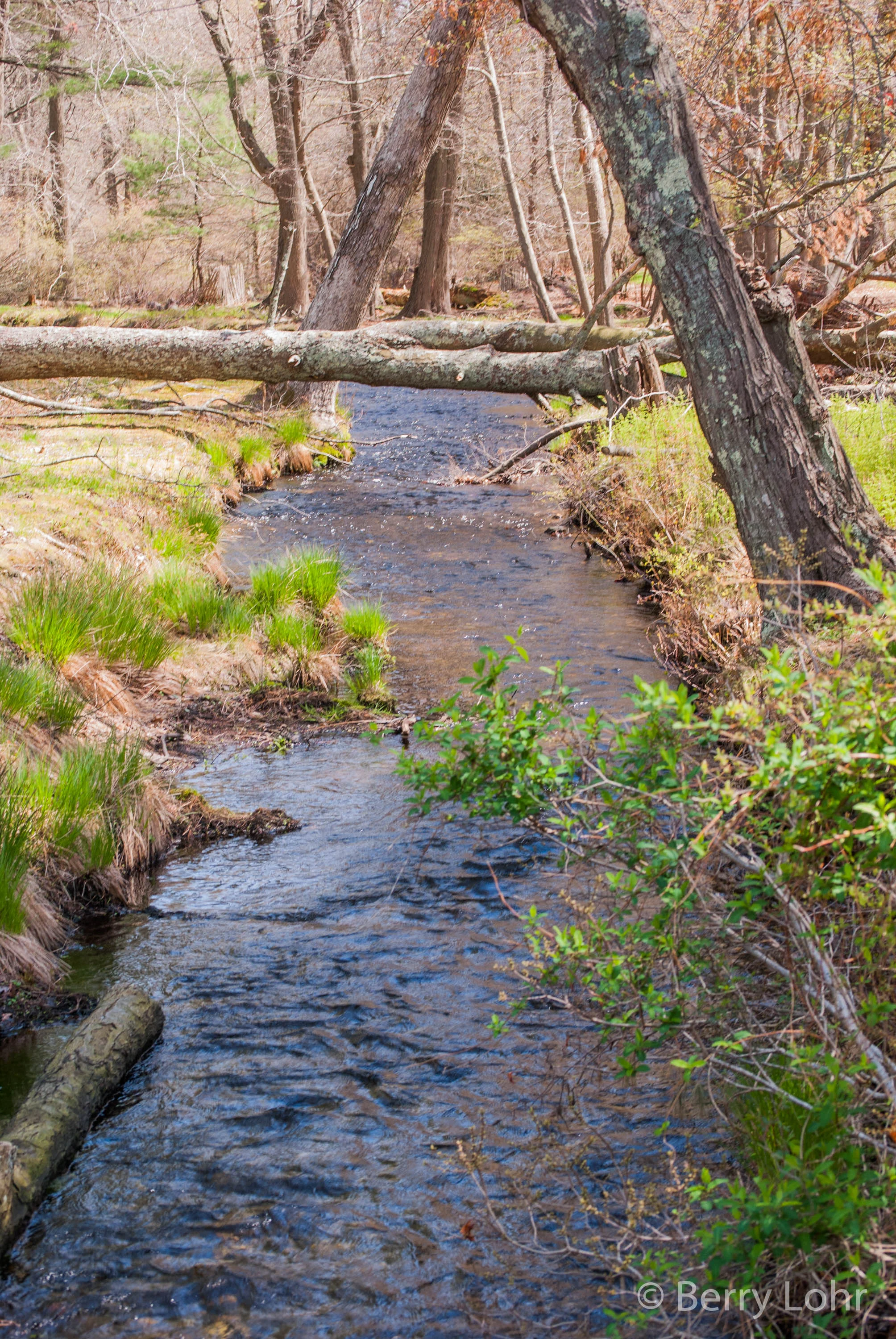 Connetquote River State Park 6