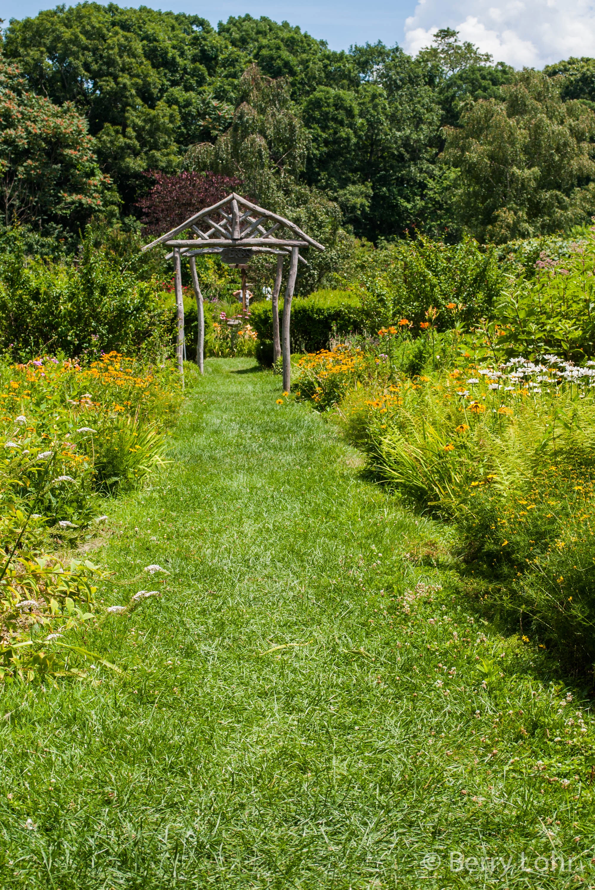 Sweetbriar Nature Center 1