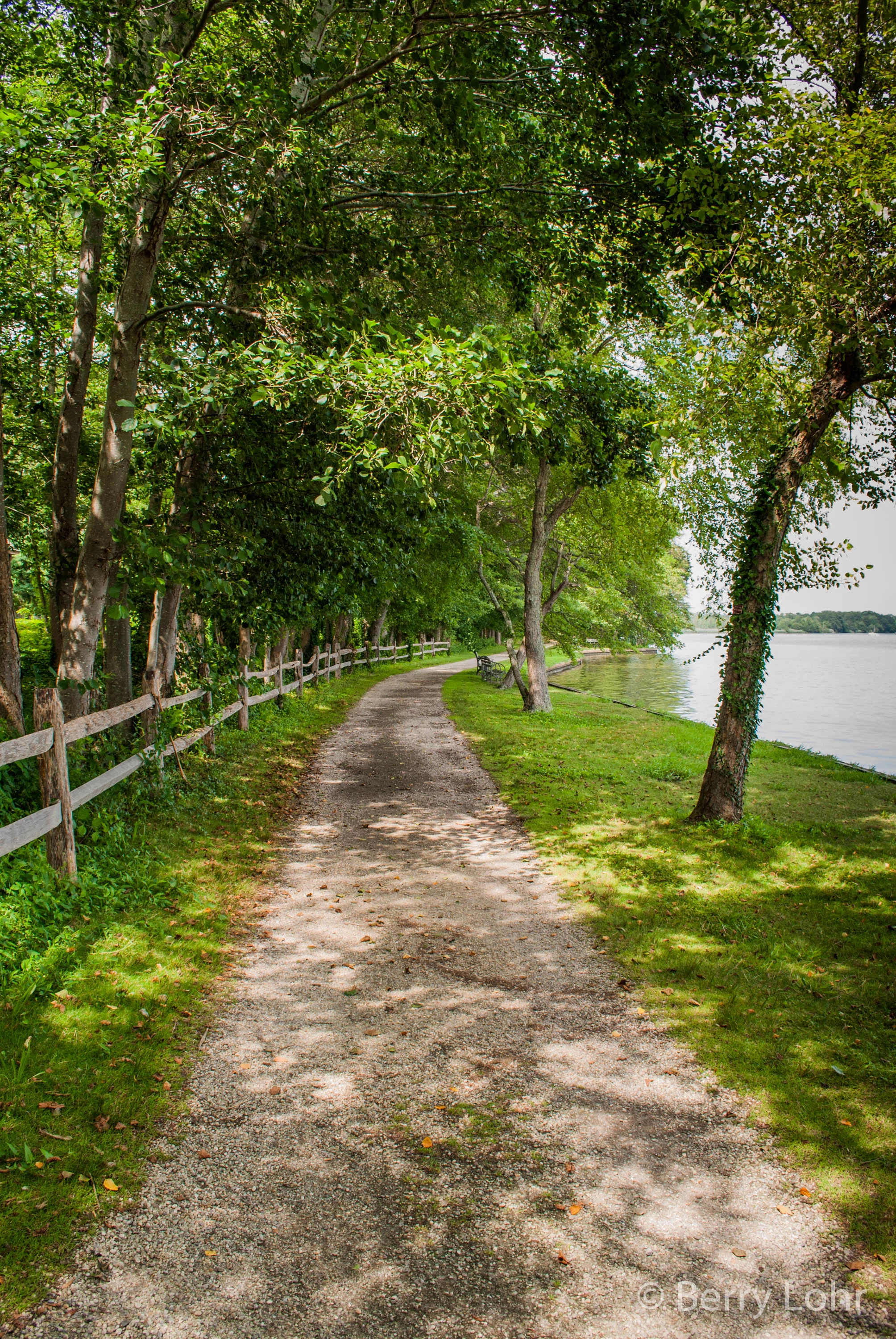 Bayard Cutting Arboretum 3