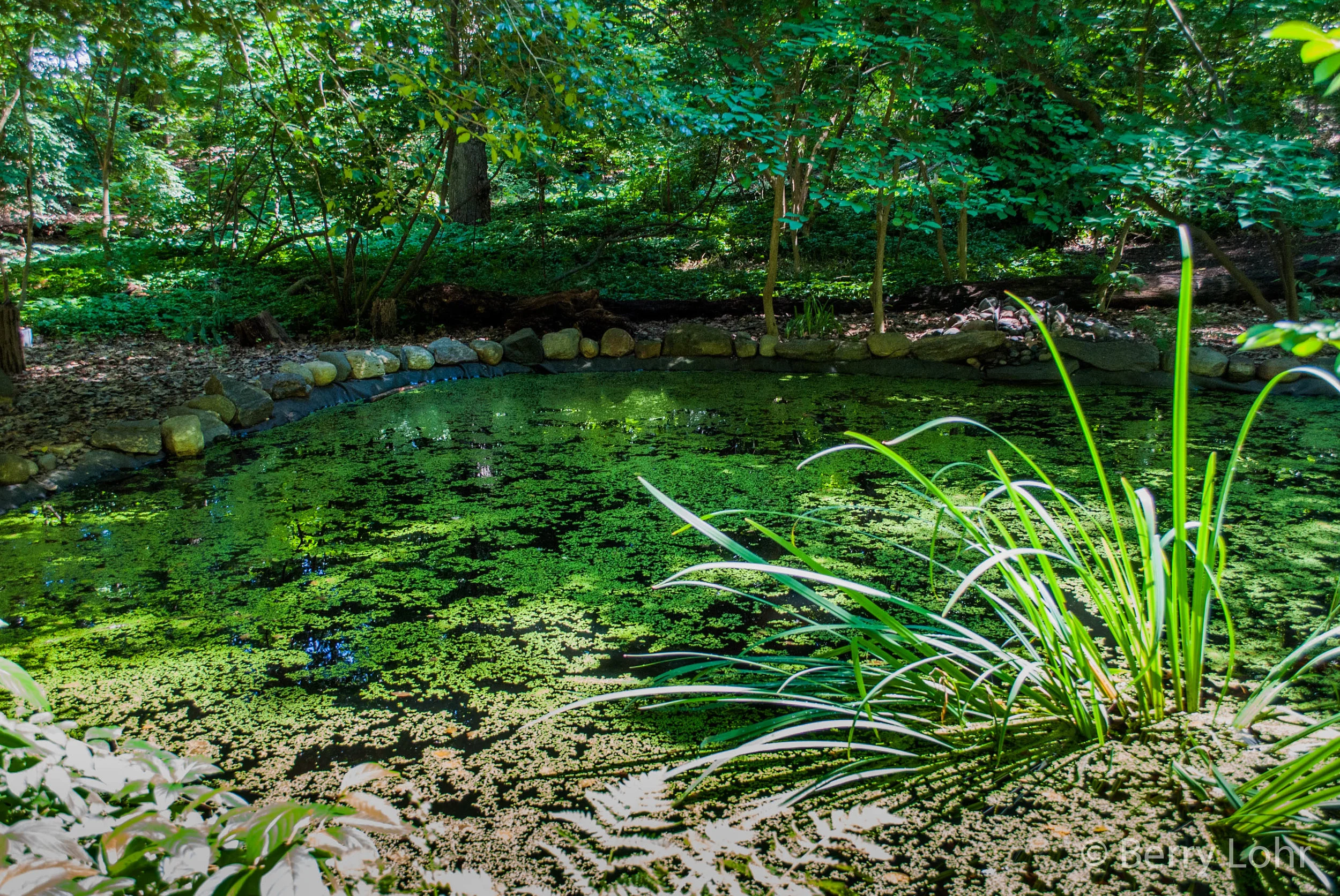 Waterscape 17