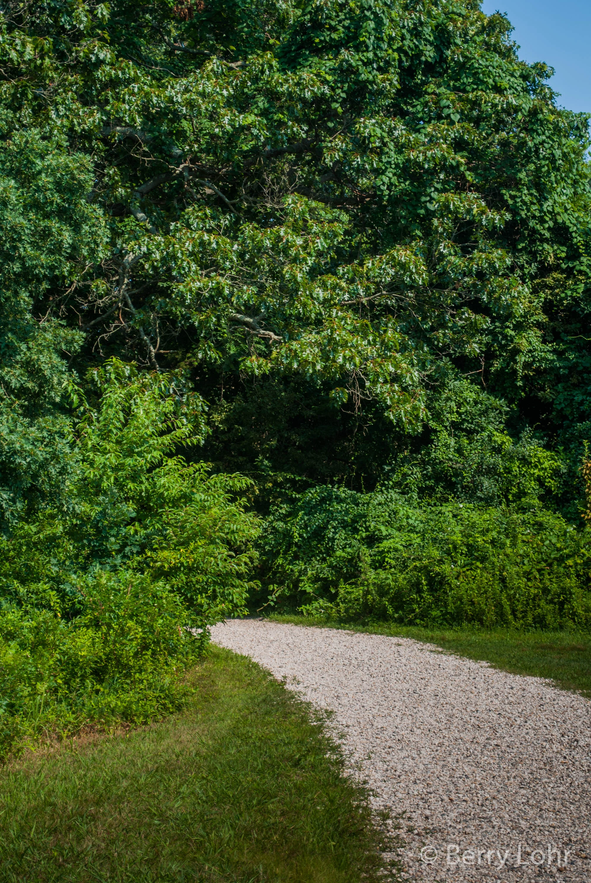 Sweetbriar Nature Center 9