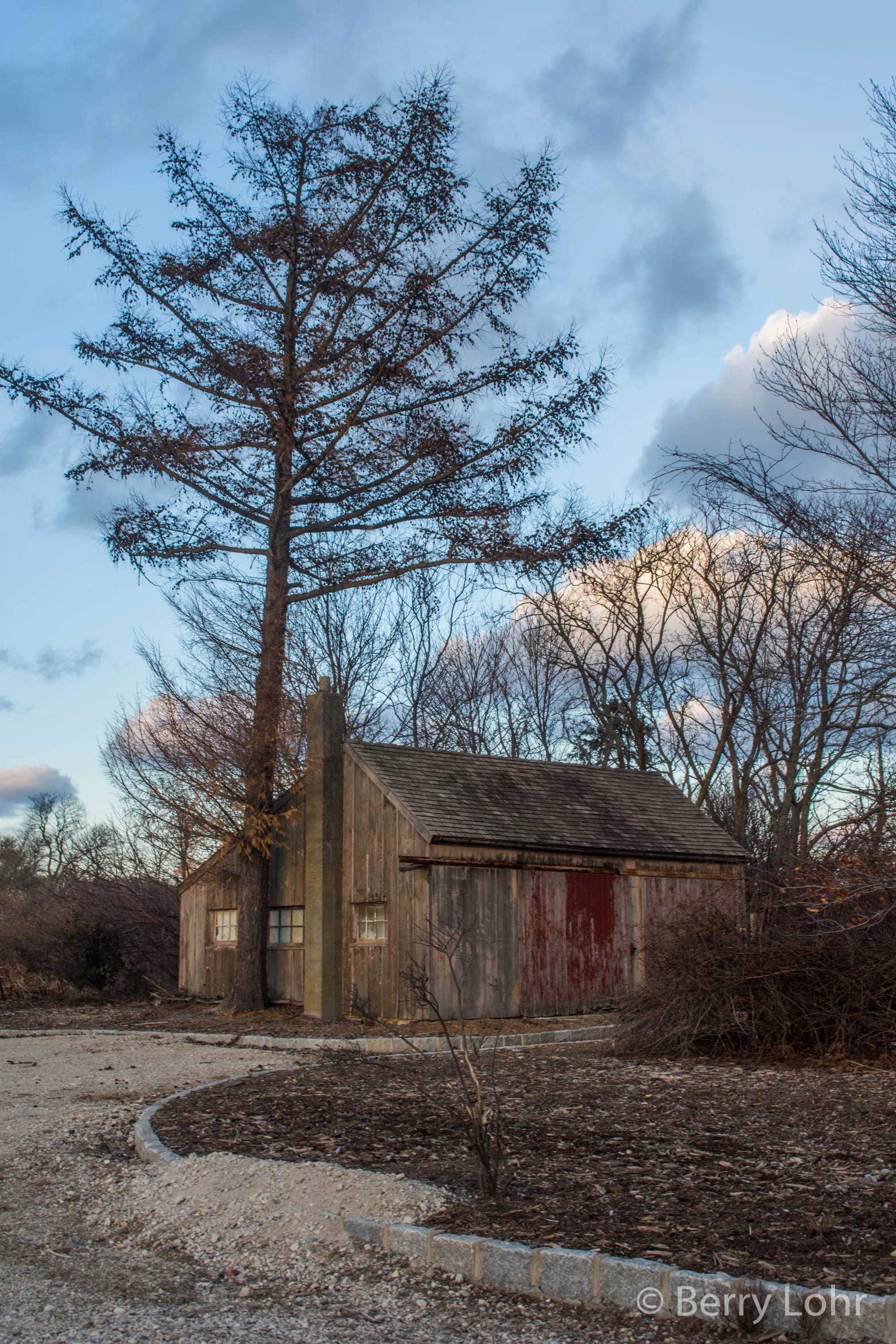 Landscape 46