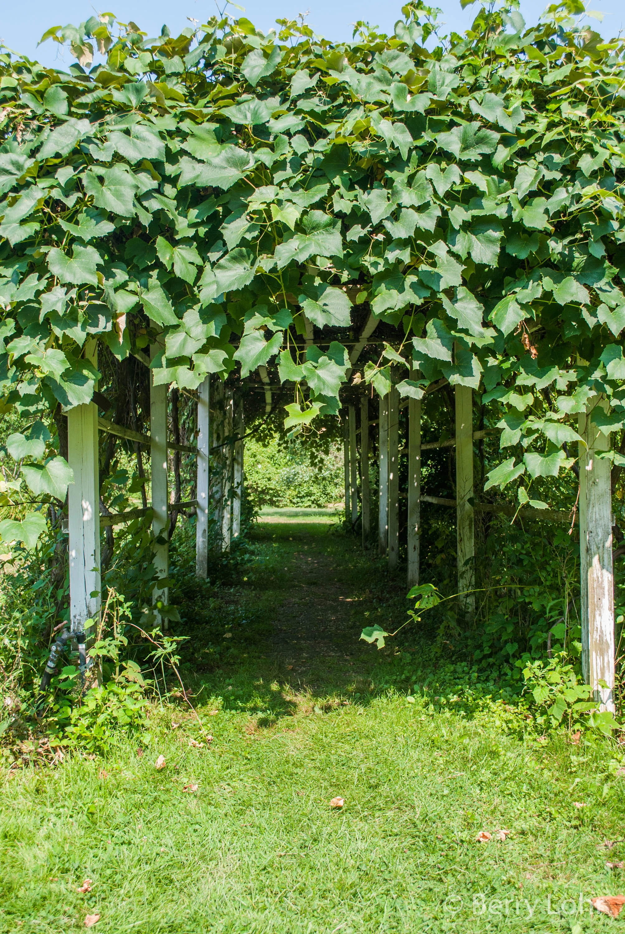 Archway 1