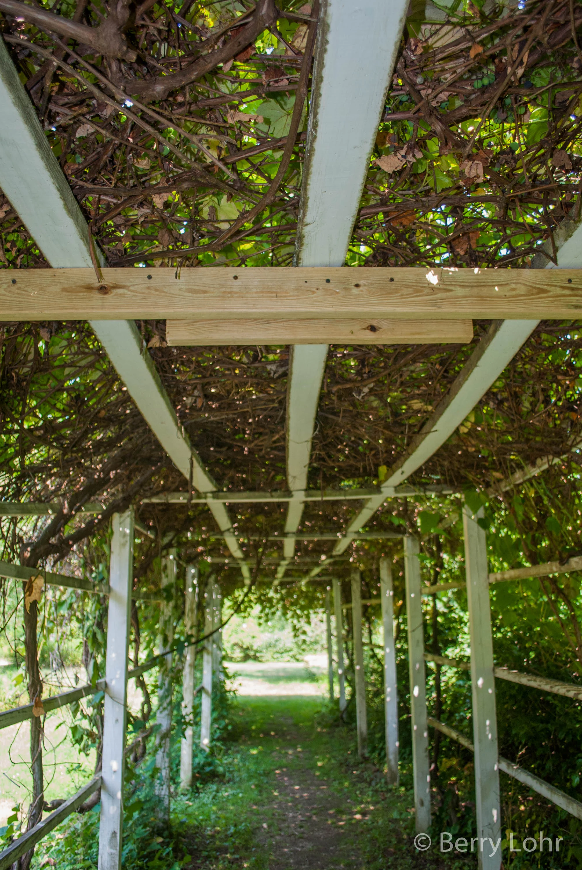 Archway 3