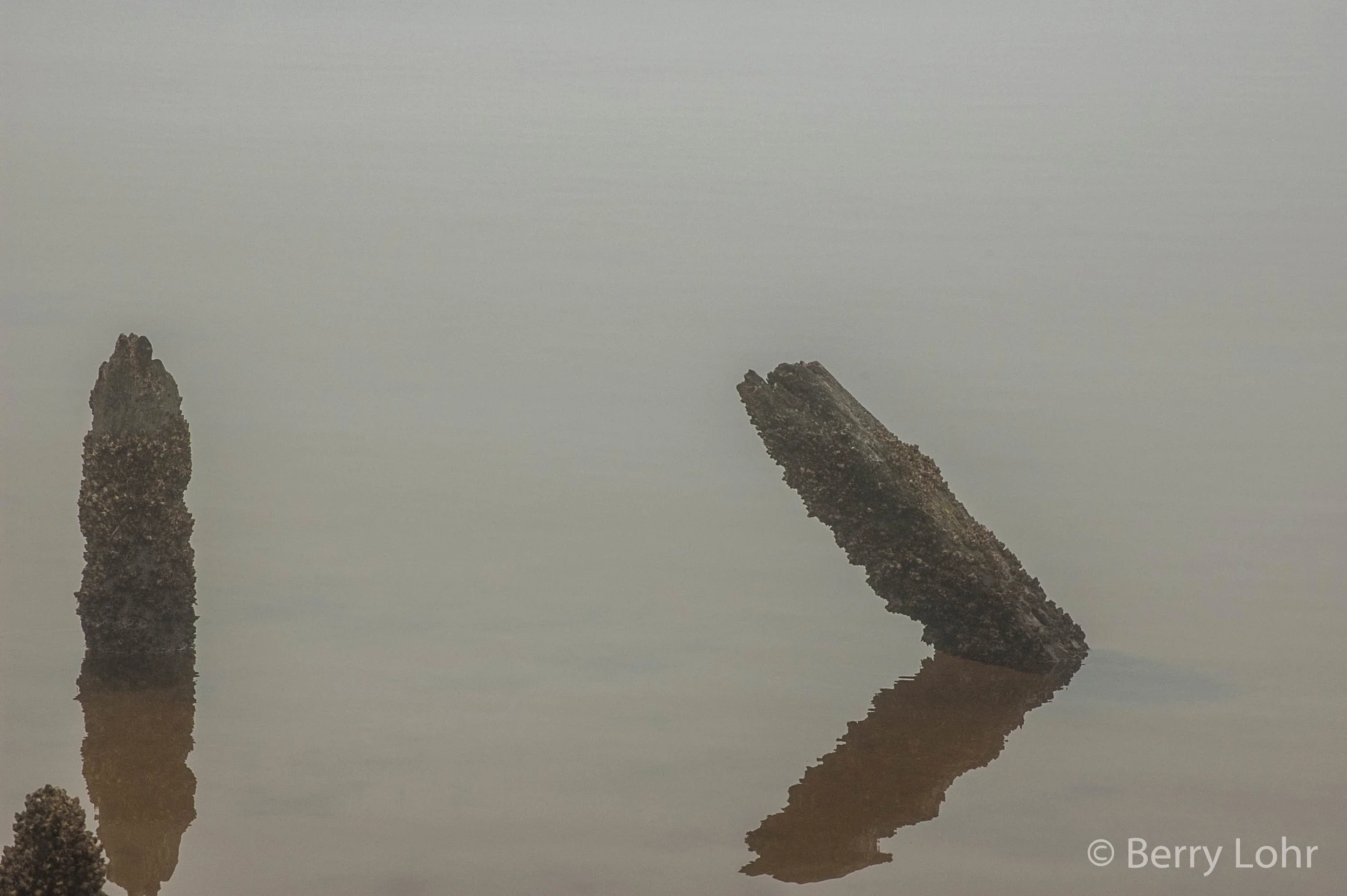 Fog 2