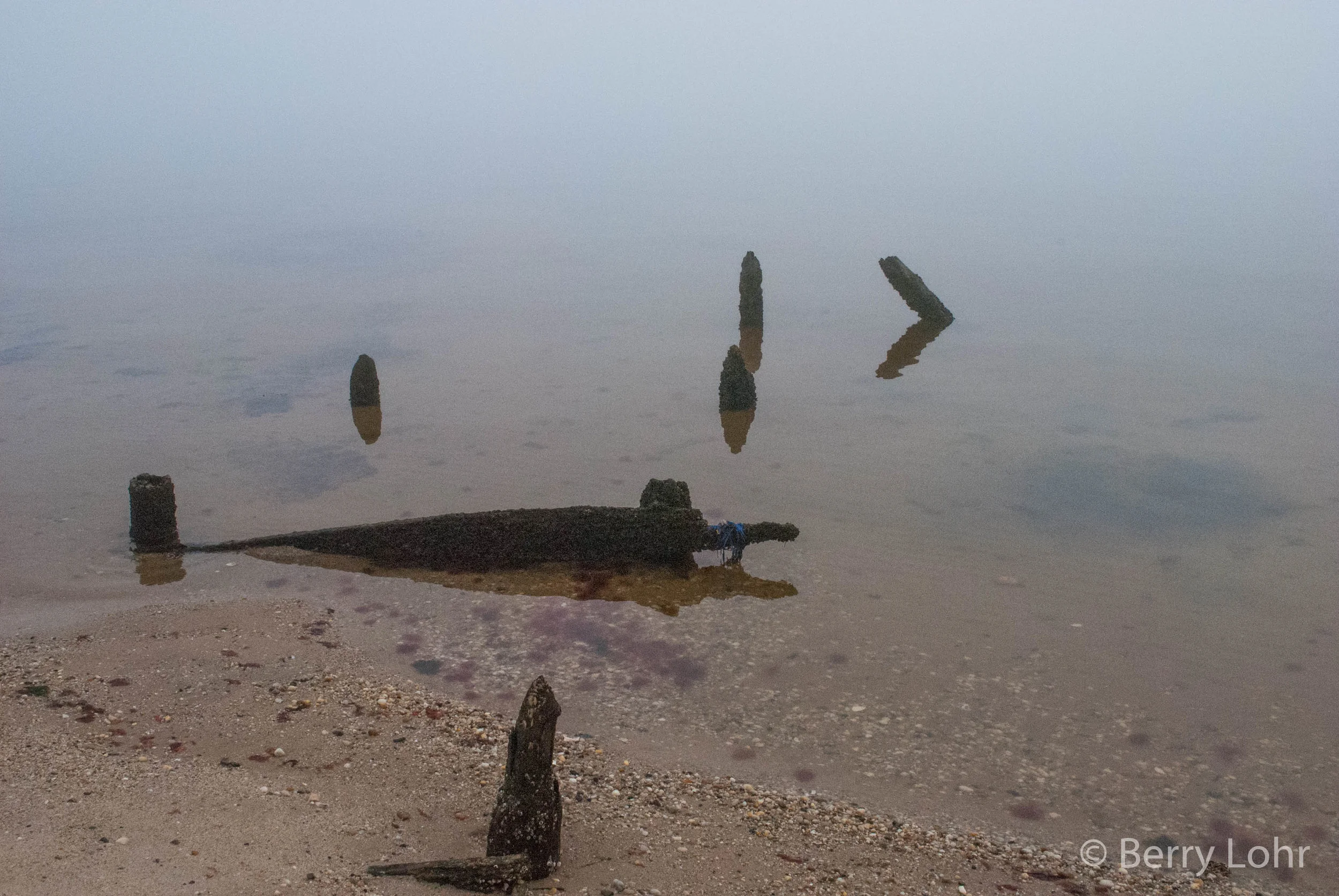 Fog 3