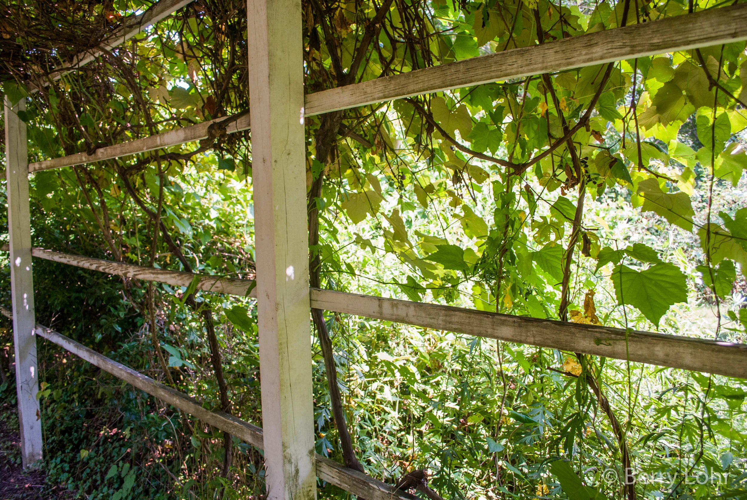 Archway 4