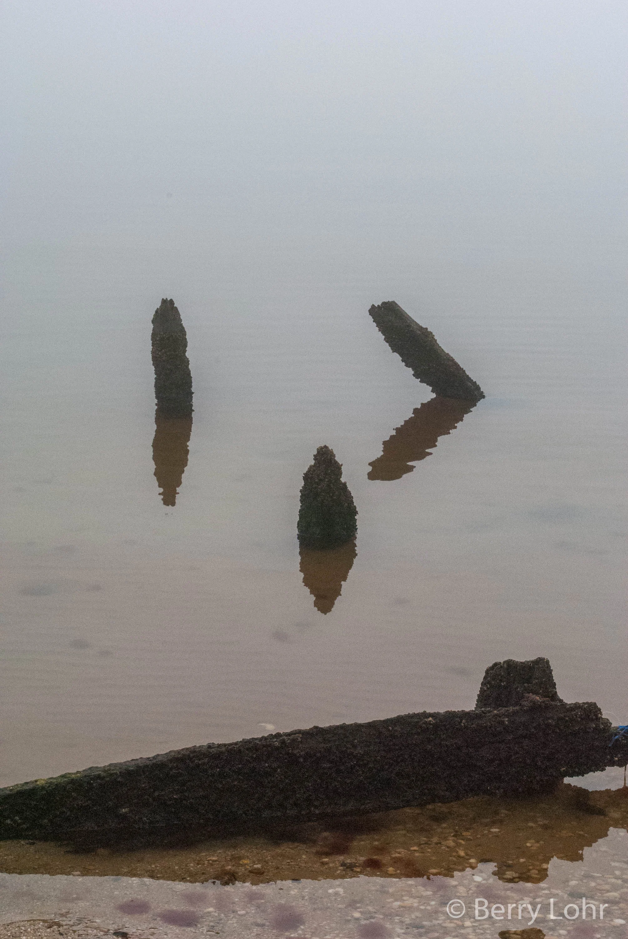 Fog 1