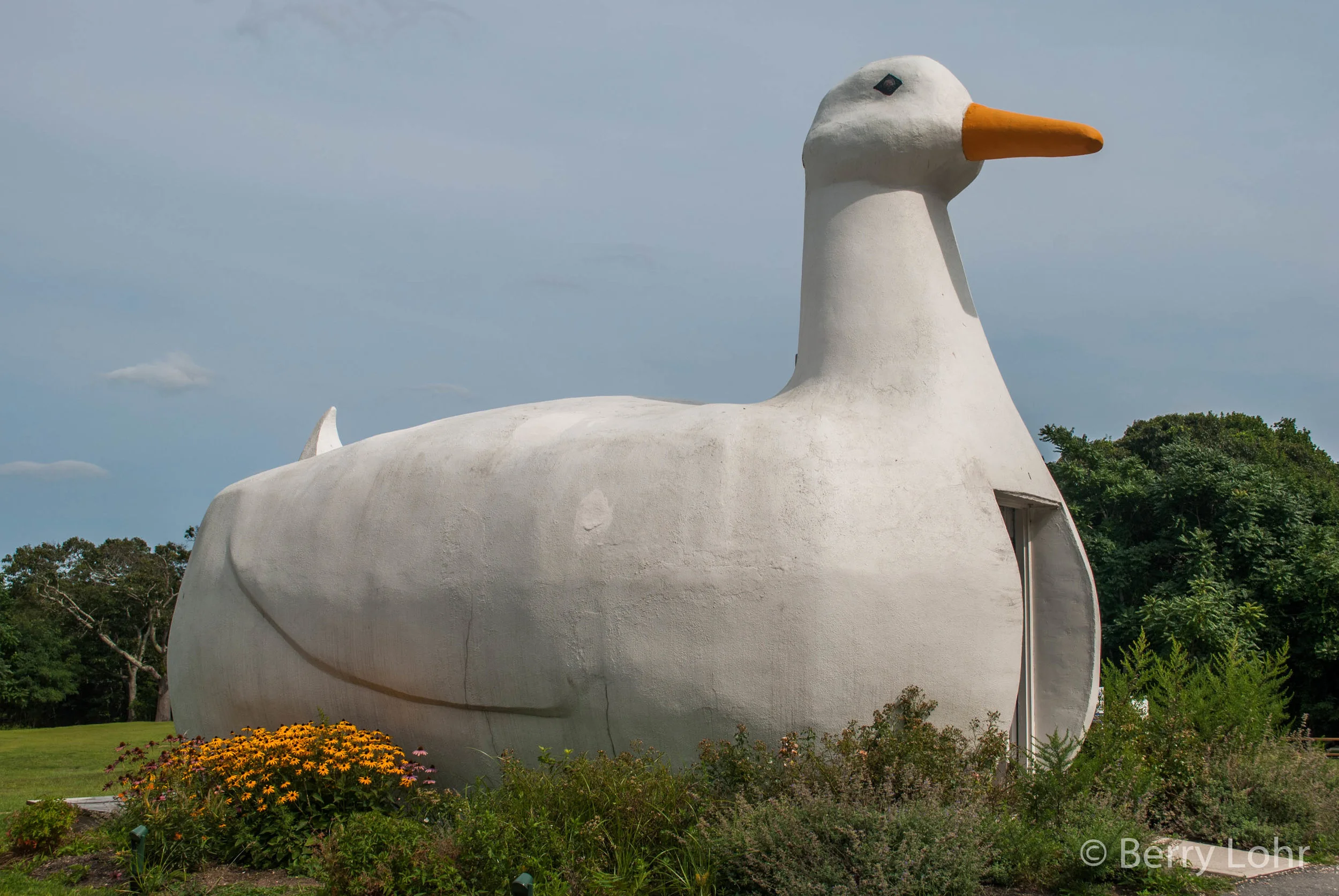 The Big Duck 2