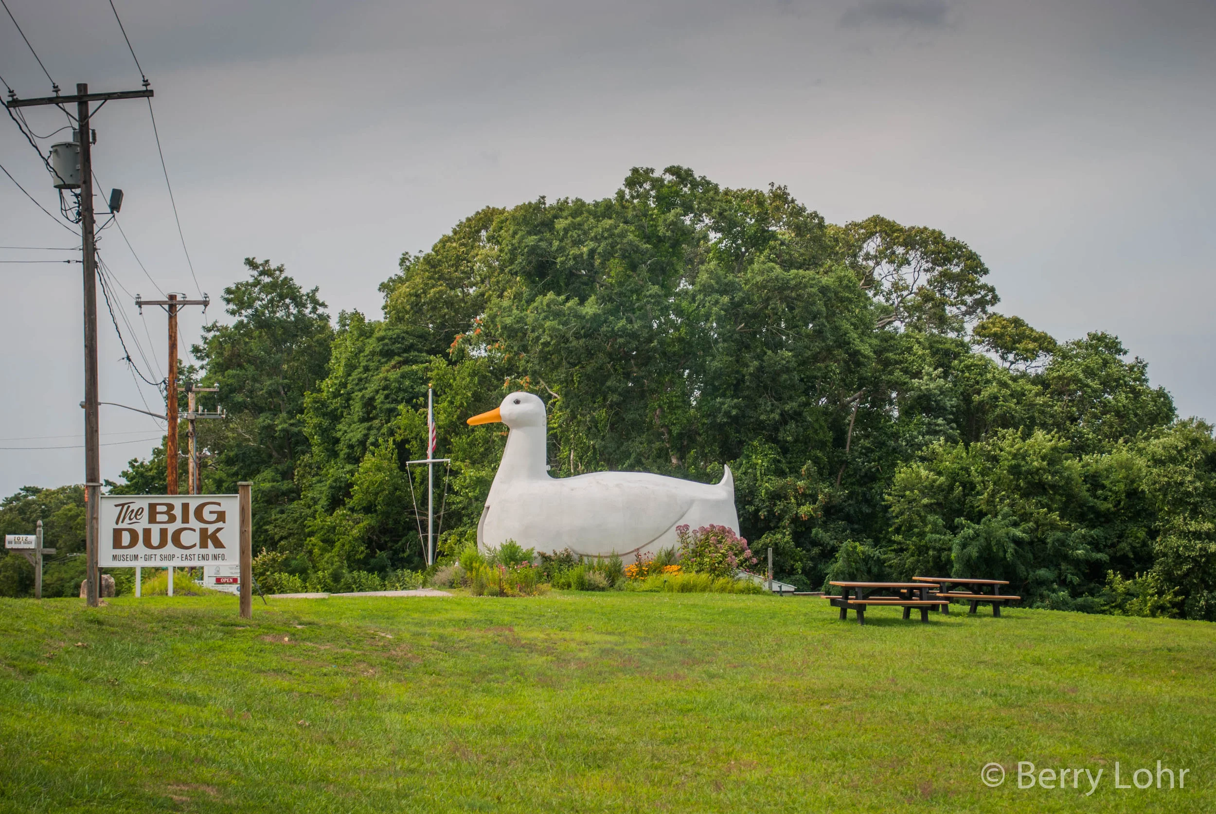 42 - The Big Duck 1.jpg