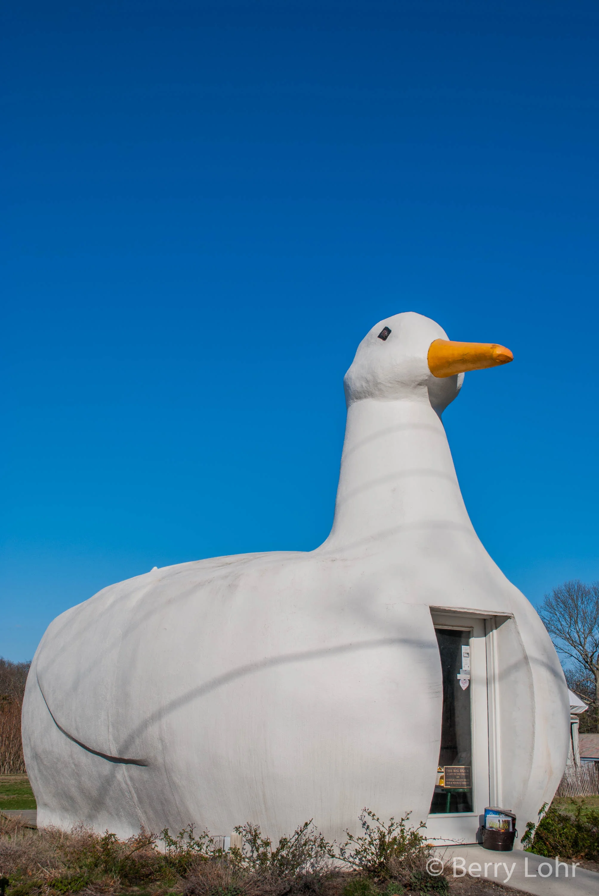 44 - The Big Duck 3.jpg