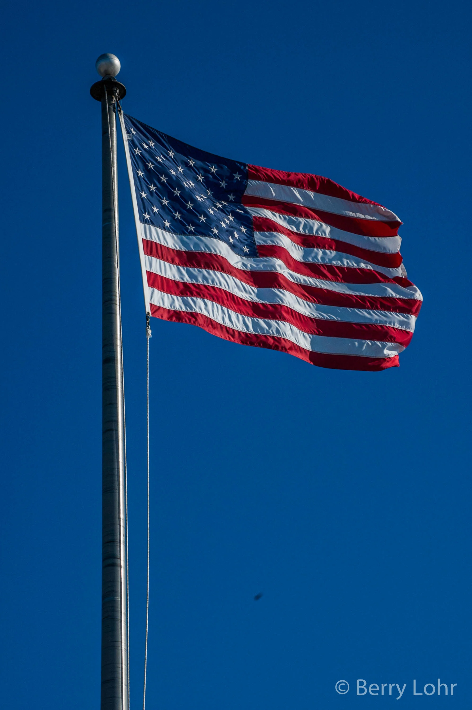 American Flag 5