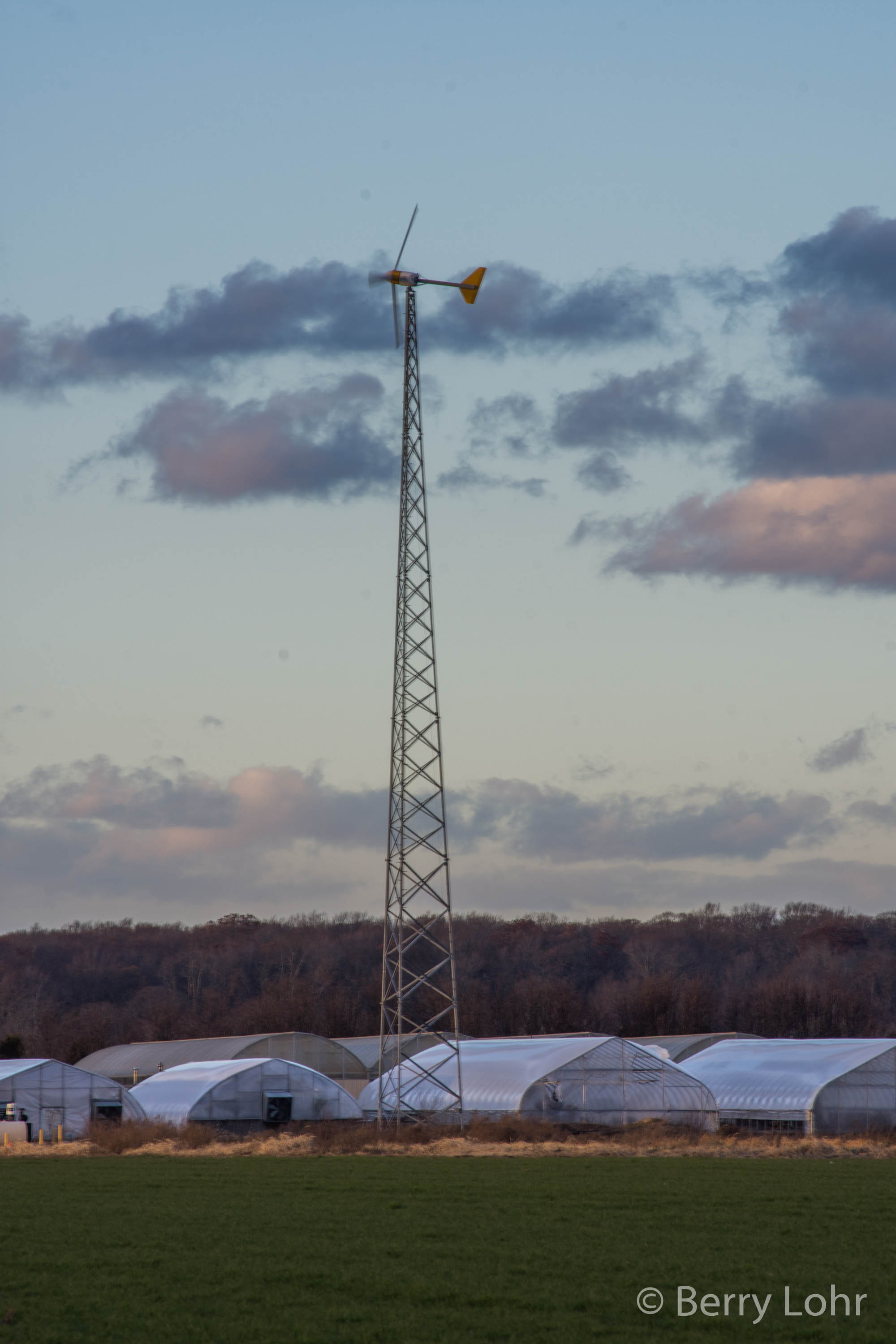 Weather Vane