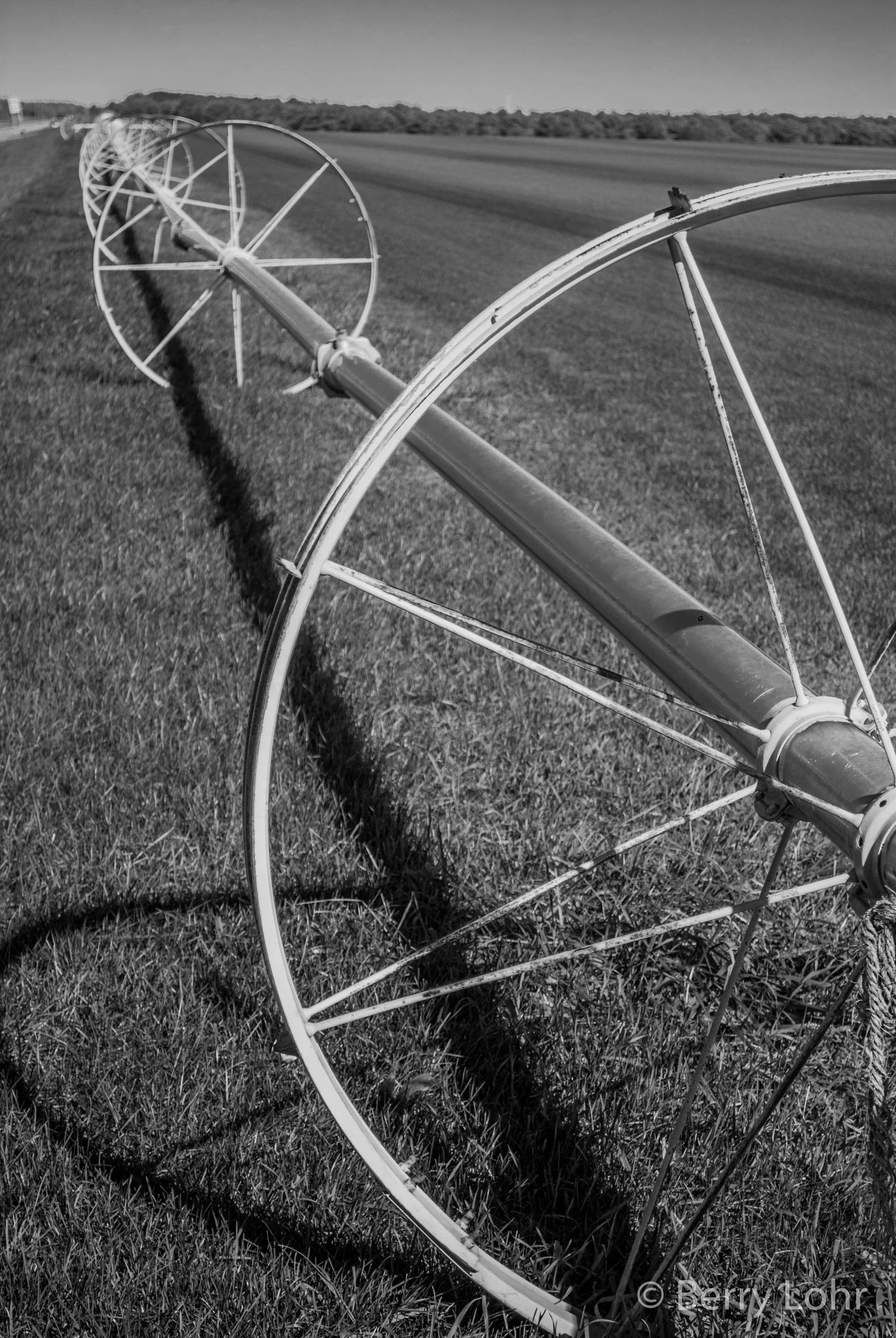 35 - Sprinkler System Detail 3.jpg