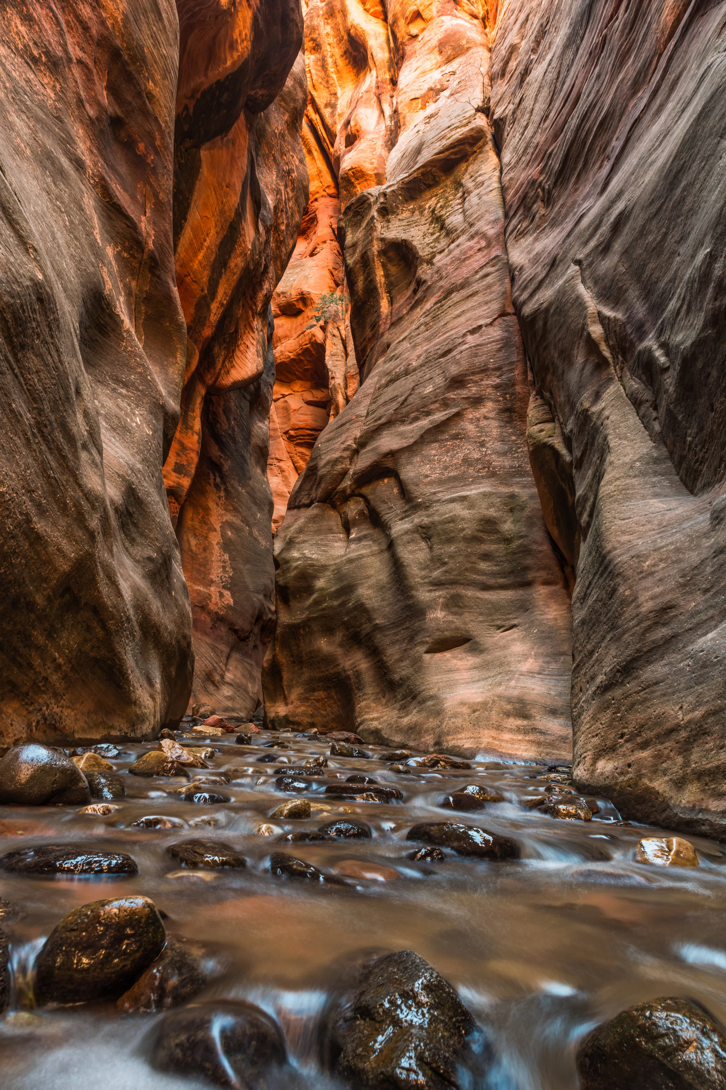 Kanarra Creek Canyon