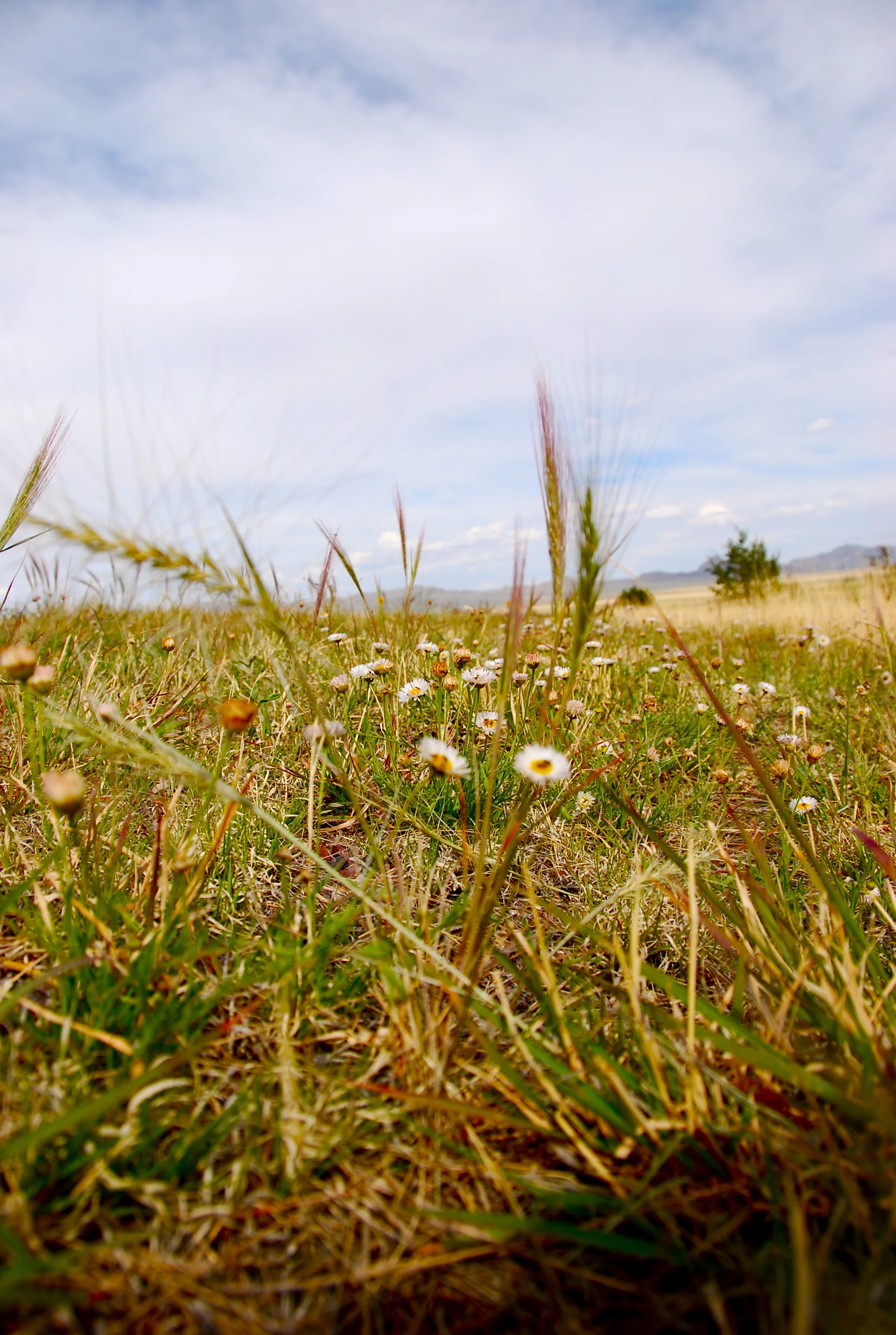 meanderings - 18.jpg