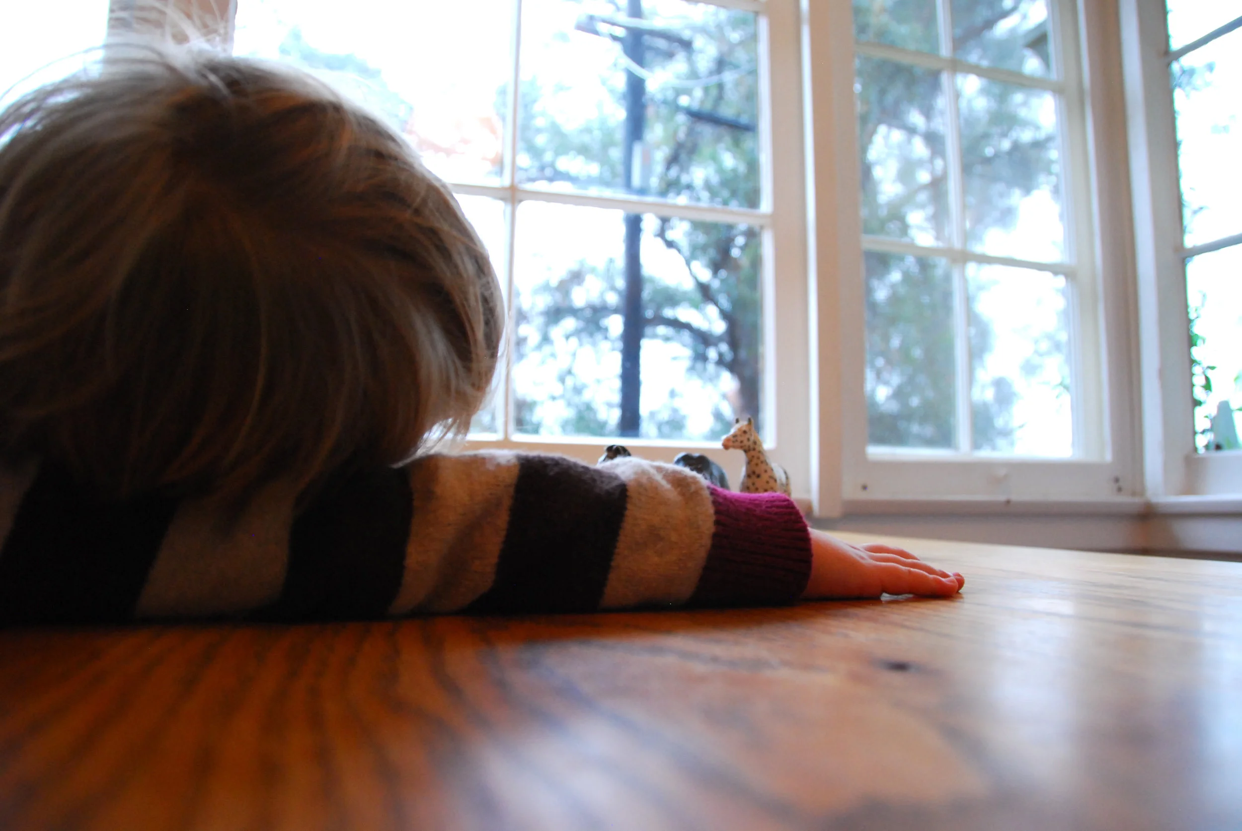 little people 2 - 43.jpg