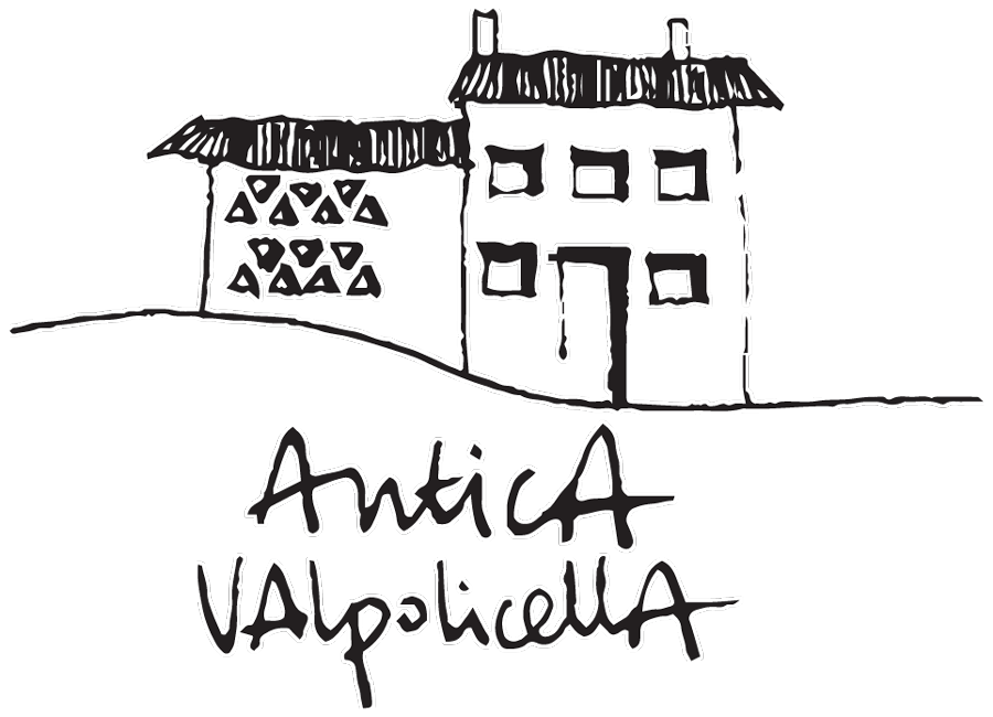Logo Antica Valpolicella.png