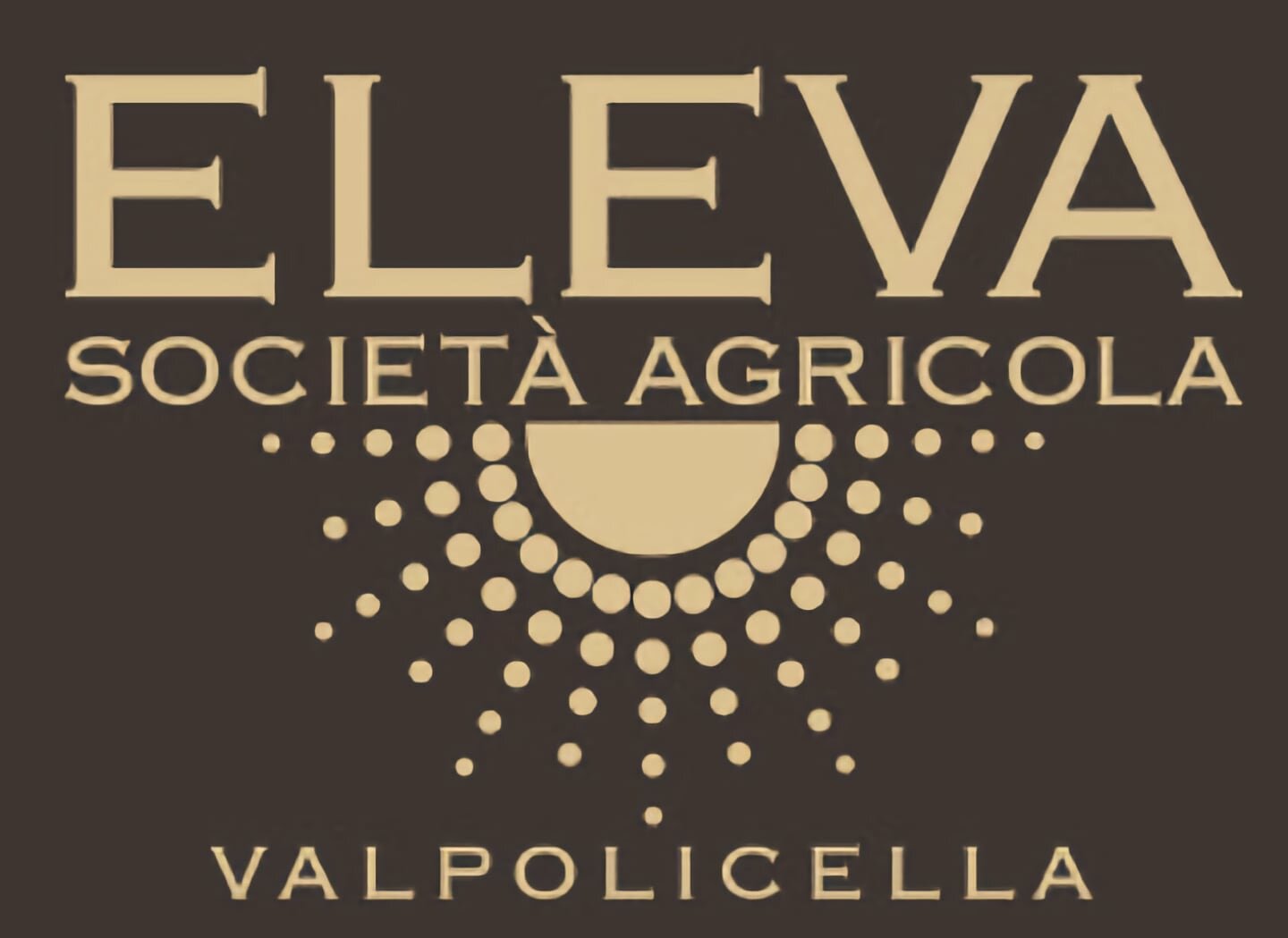 Logo Eleva.jpg